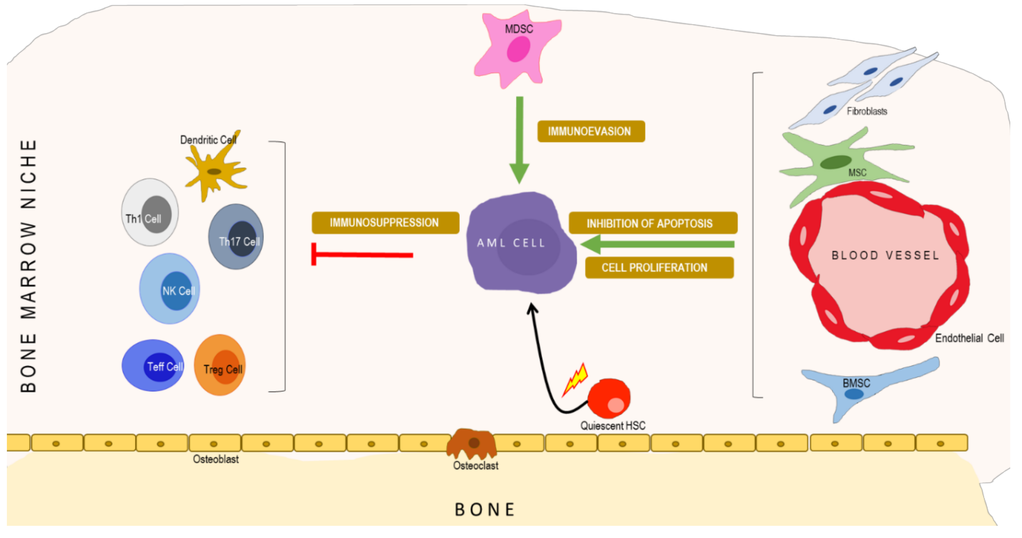 Cancers 14 00756 g002