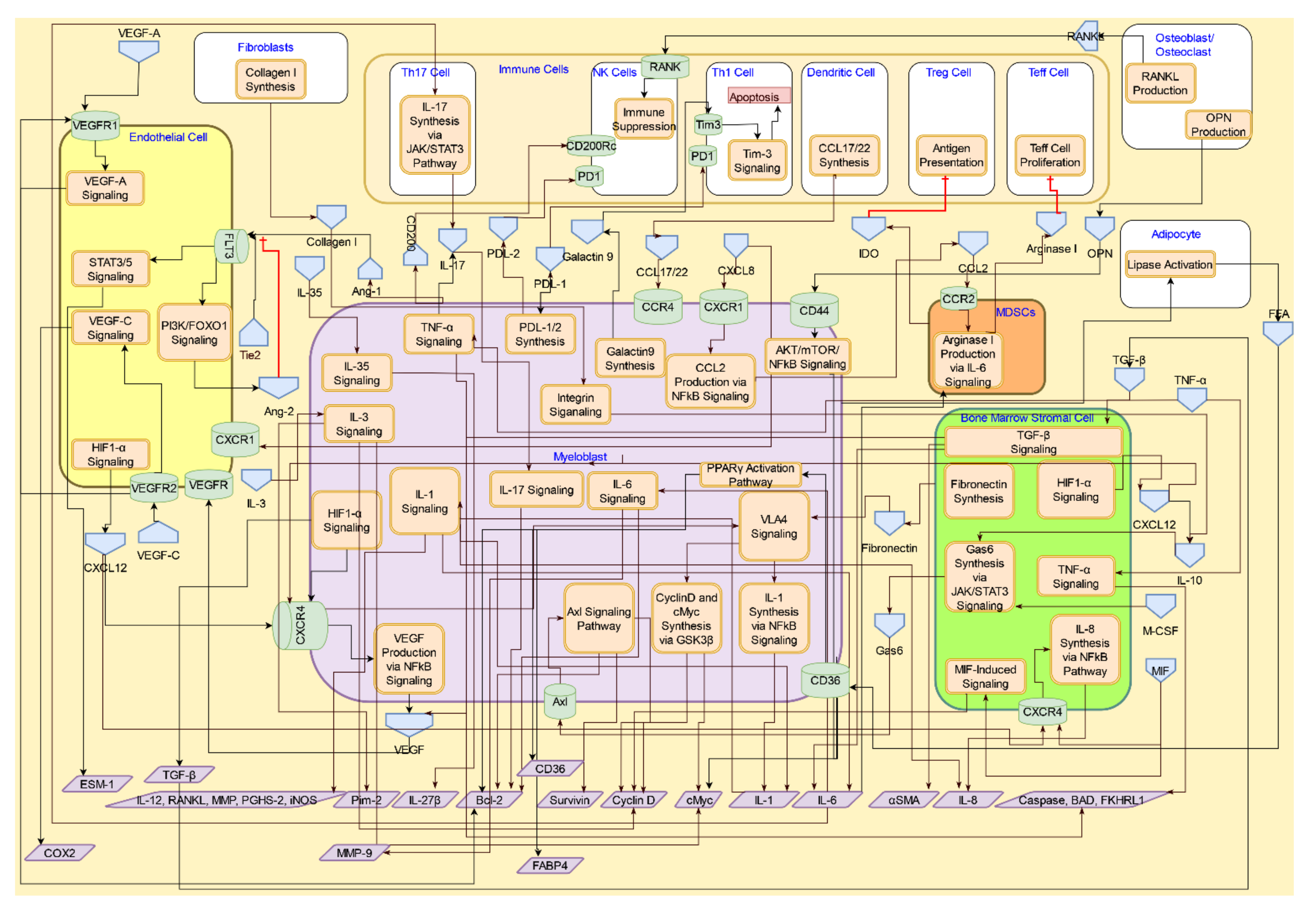 Cancers 14 00756 g003