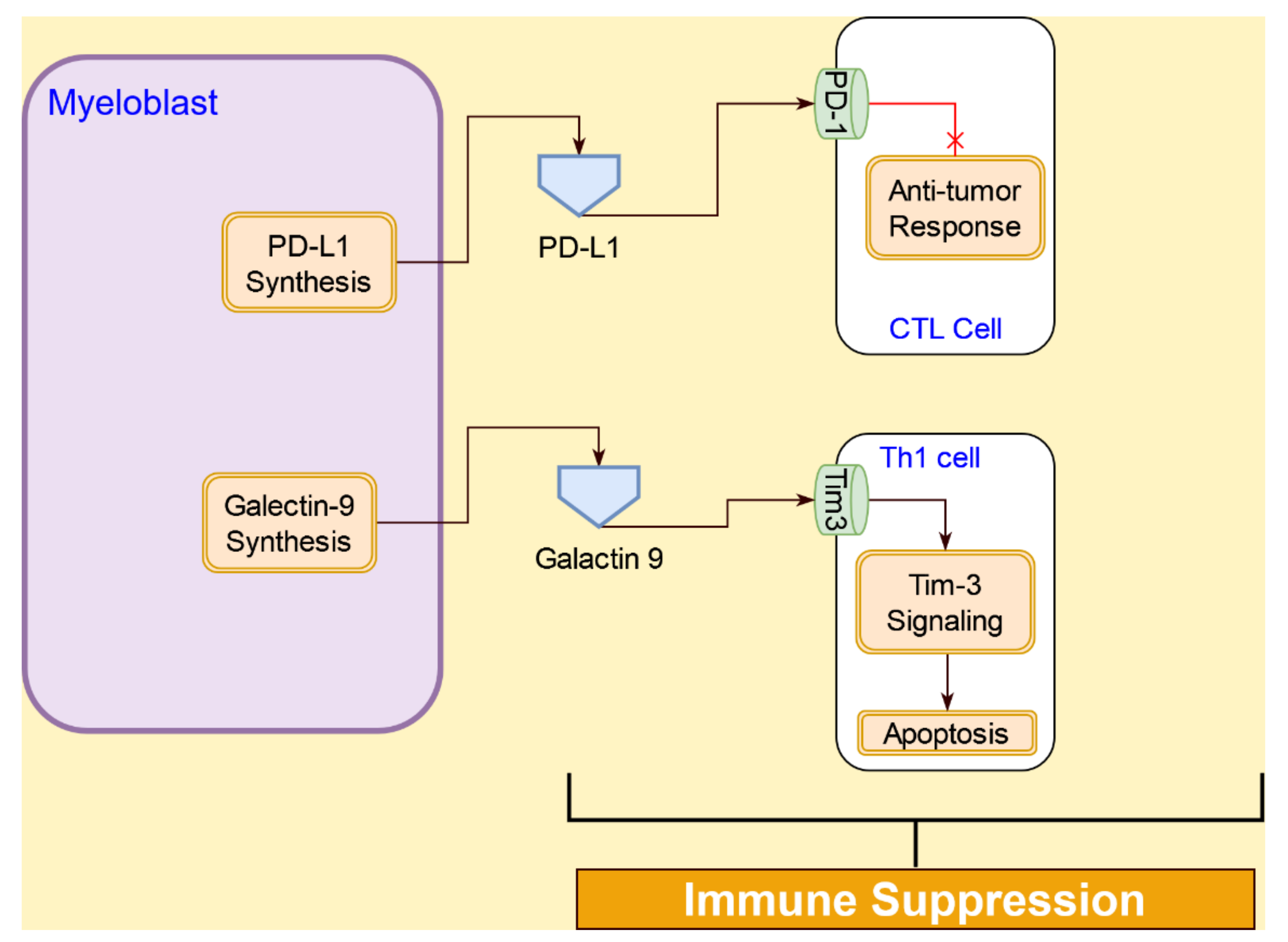 Cancers 14 00756 g012