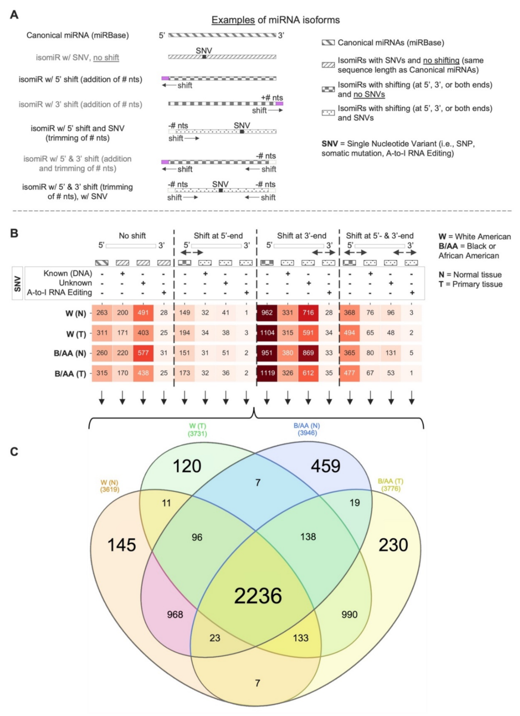 Cancers 14 00773 g001