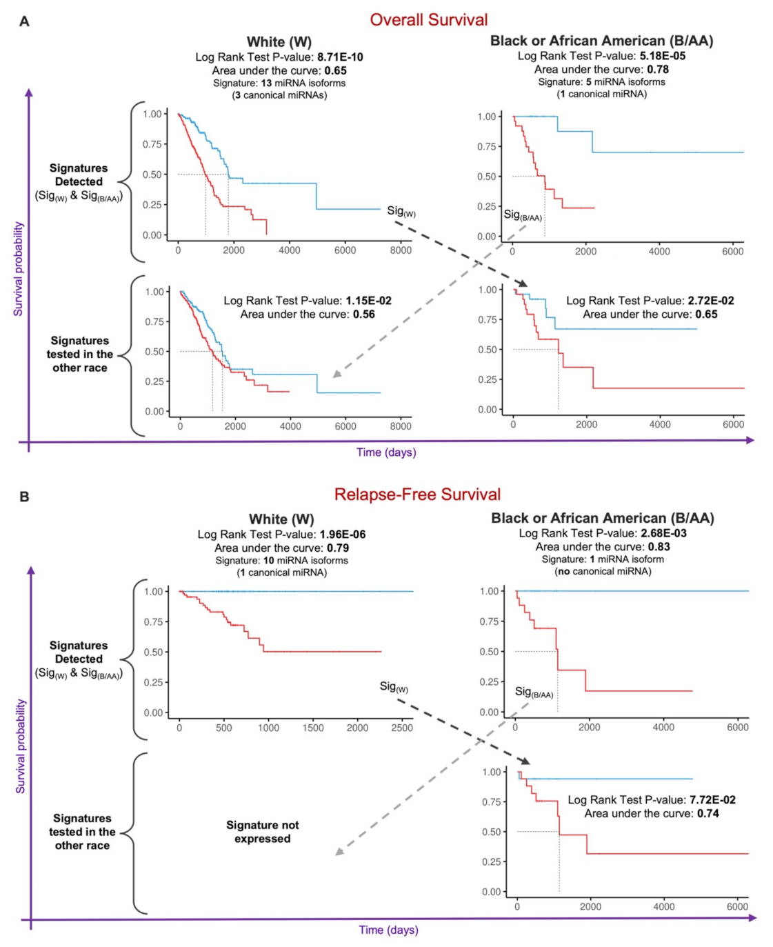 Cancers 14 00773 g004