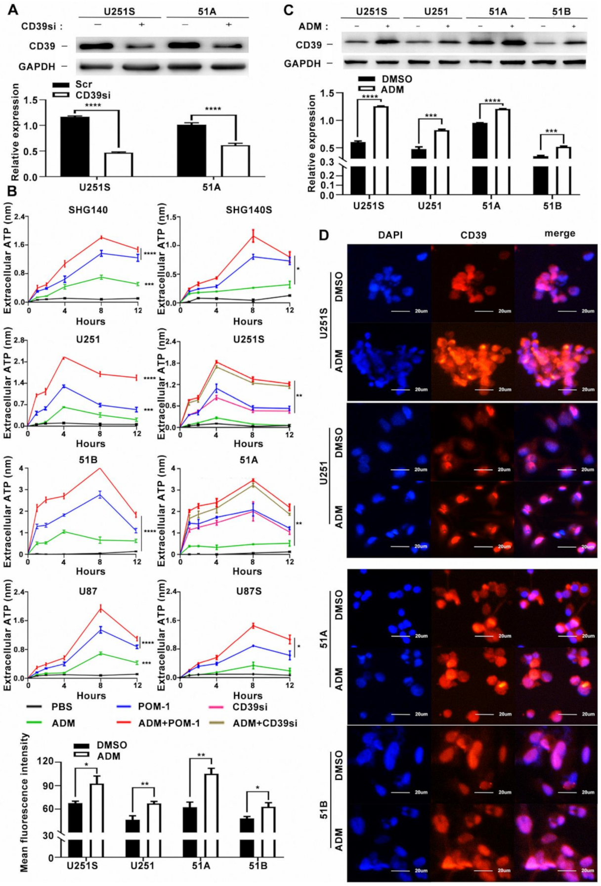 Cancers 14 00783 g002