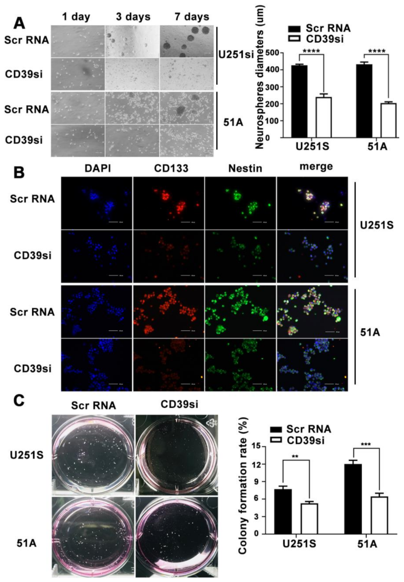 Cancers 14 00783 g003