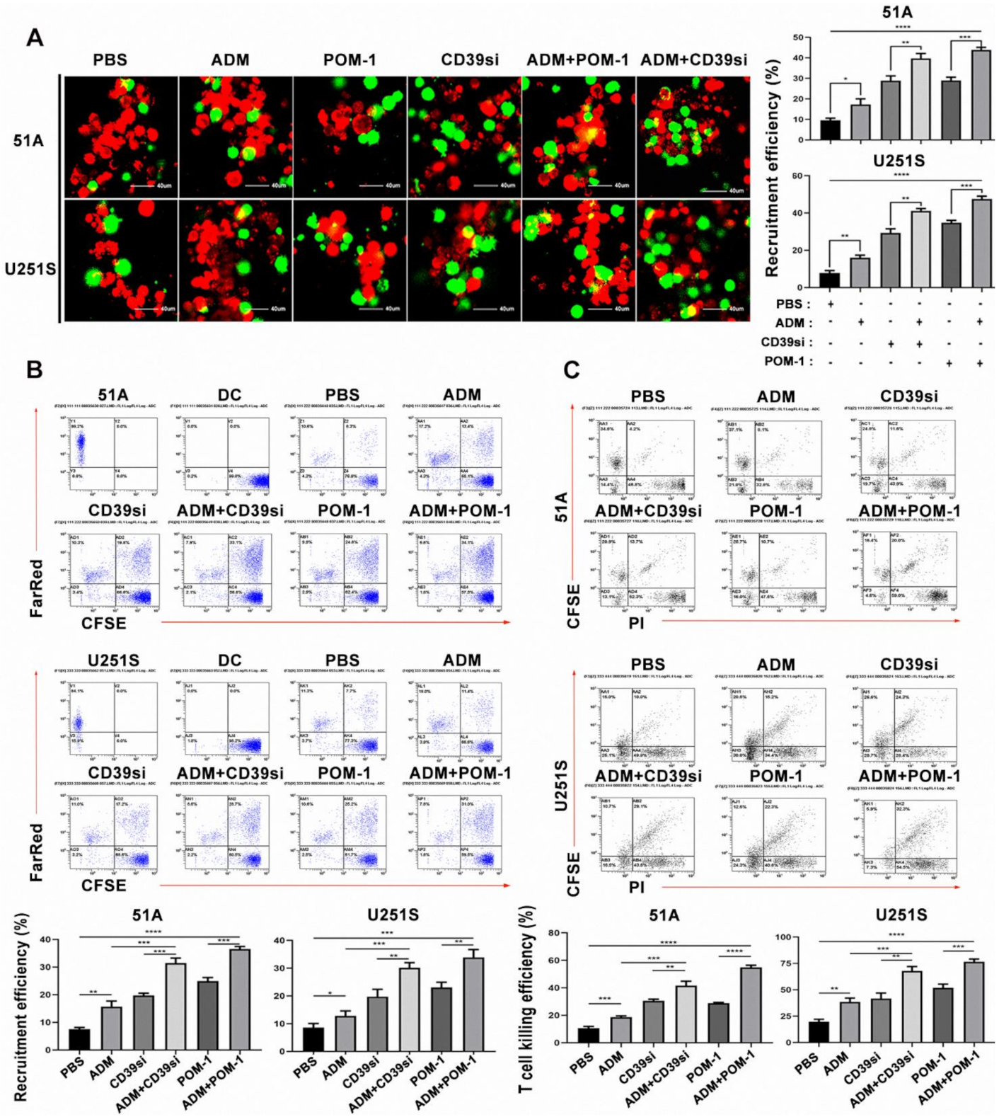 Cancers 14 00783 g004