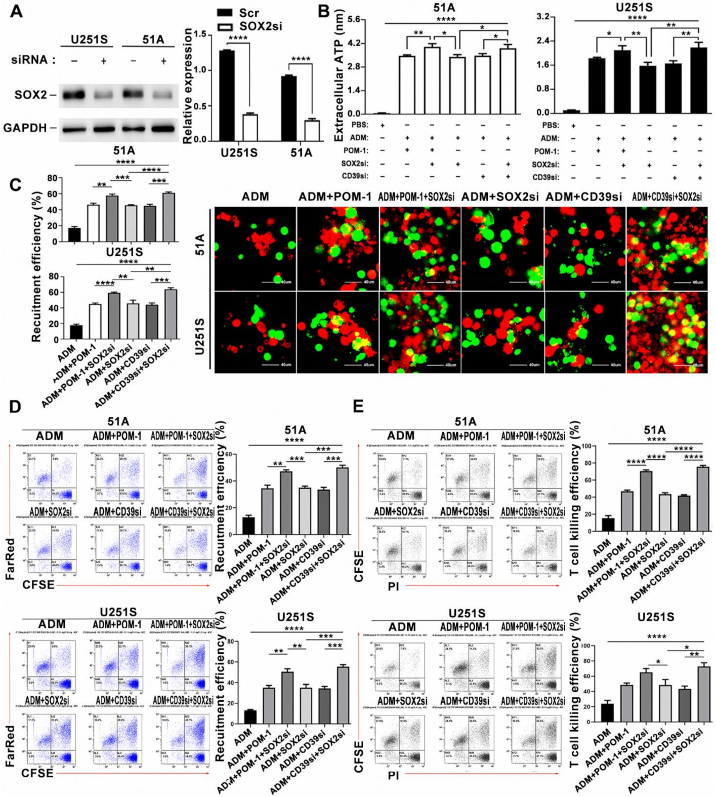 Cancers 14 00783 g005