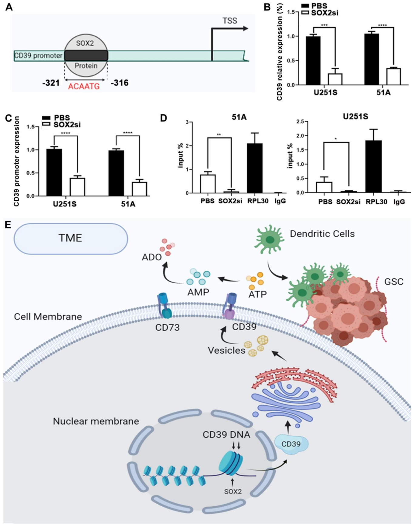 Cancers 14 00783 g006