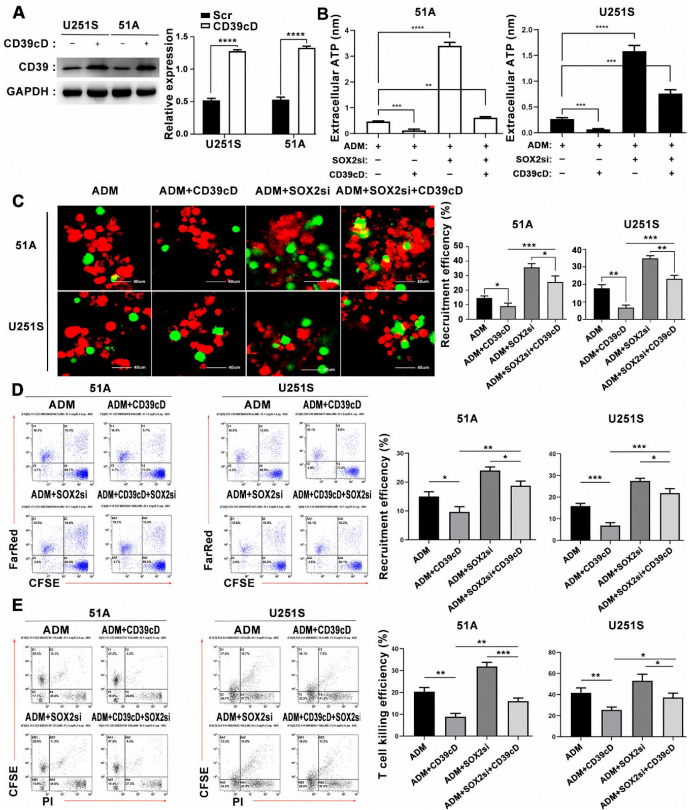 Cancers 14 00783 g007