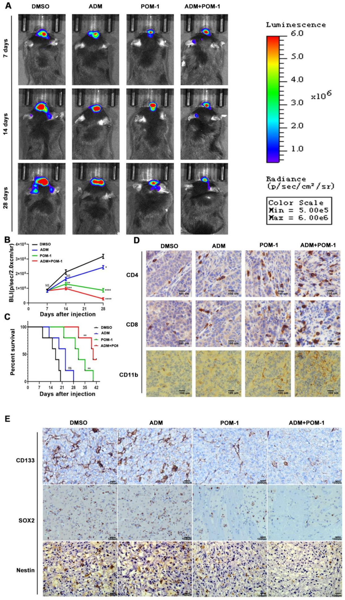 Cancers 14 00783 g008