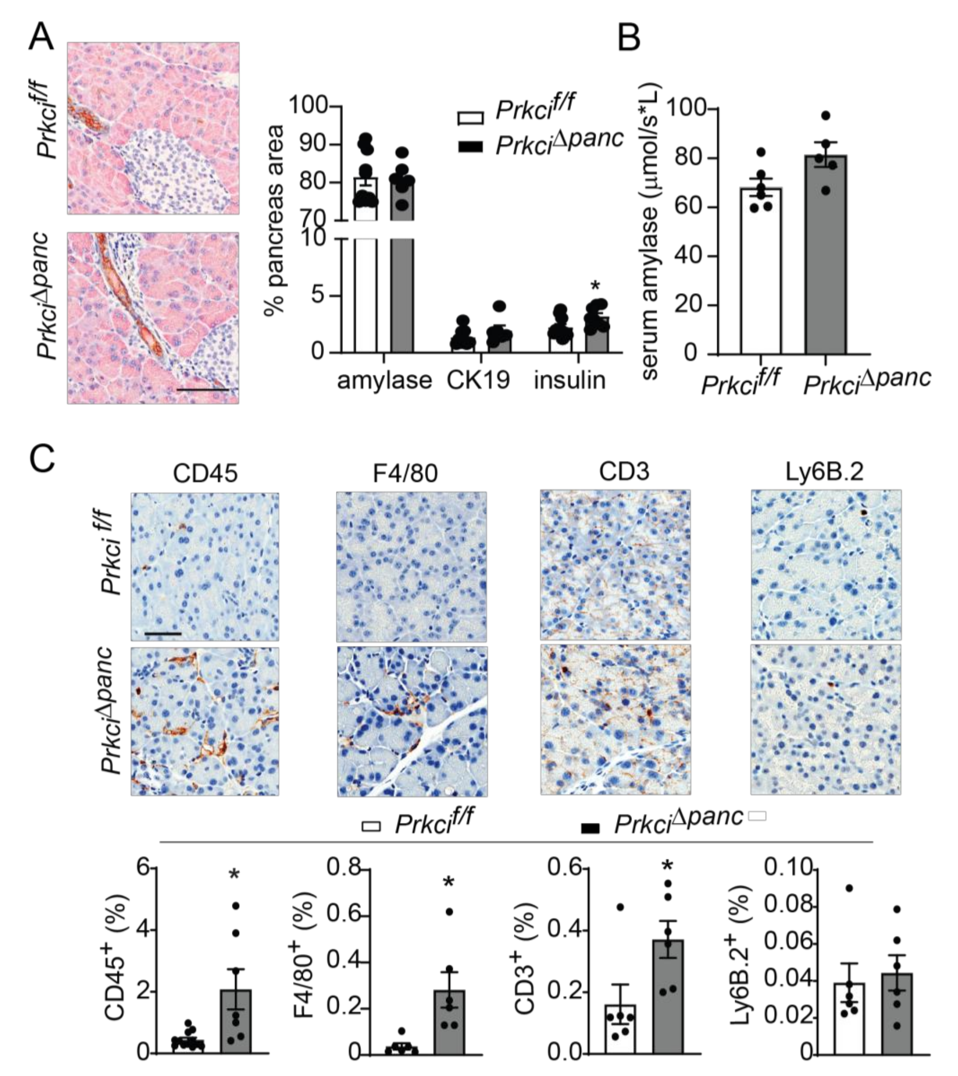 Cancers 14 00796 g002
