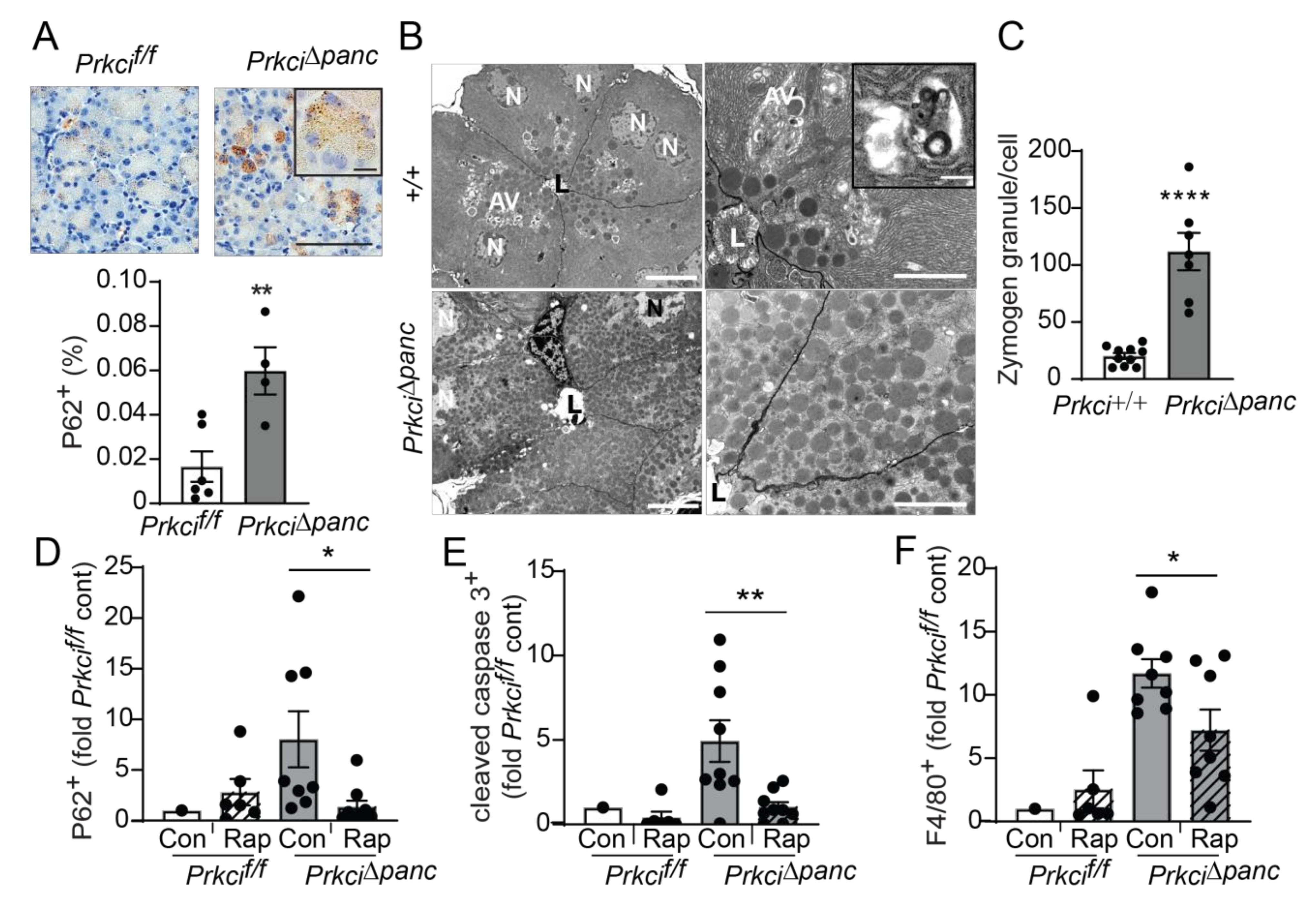 Cancers 14 00796 g005