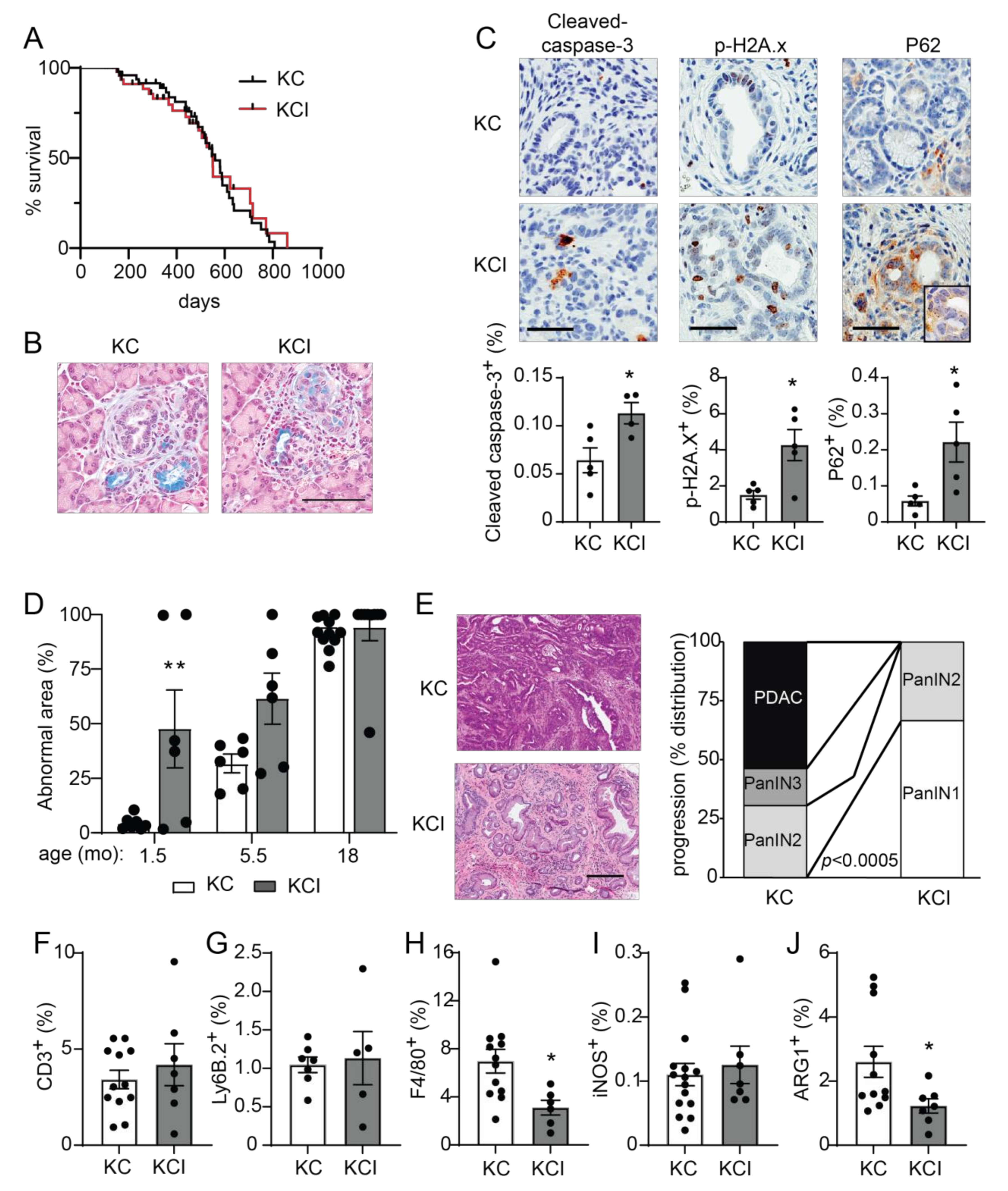 Cancers 14 00796 g006