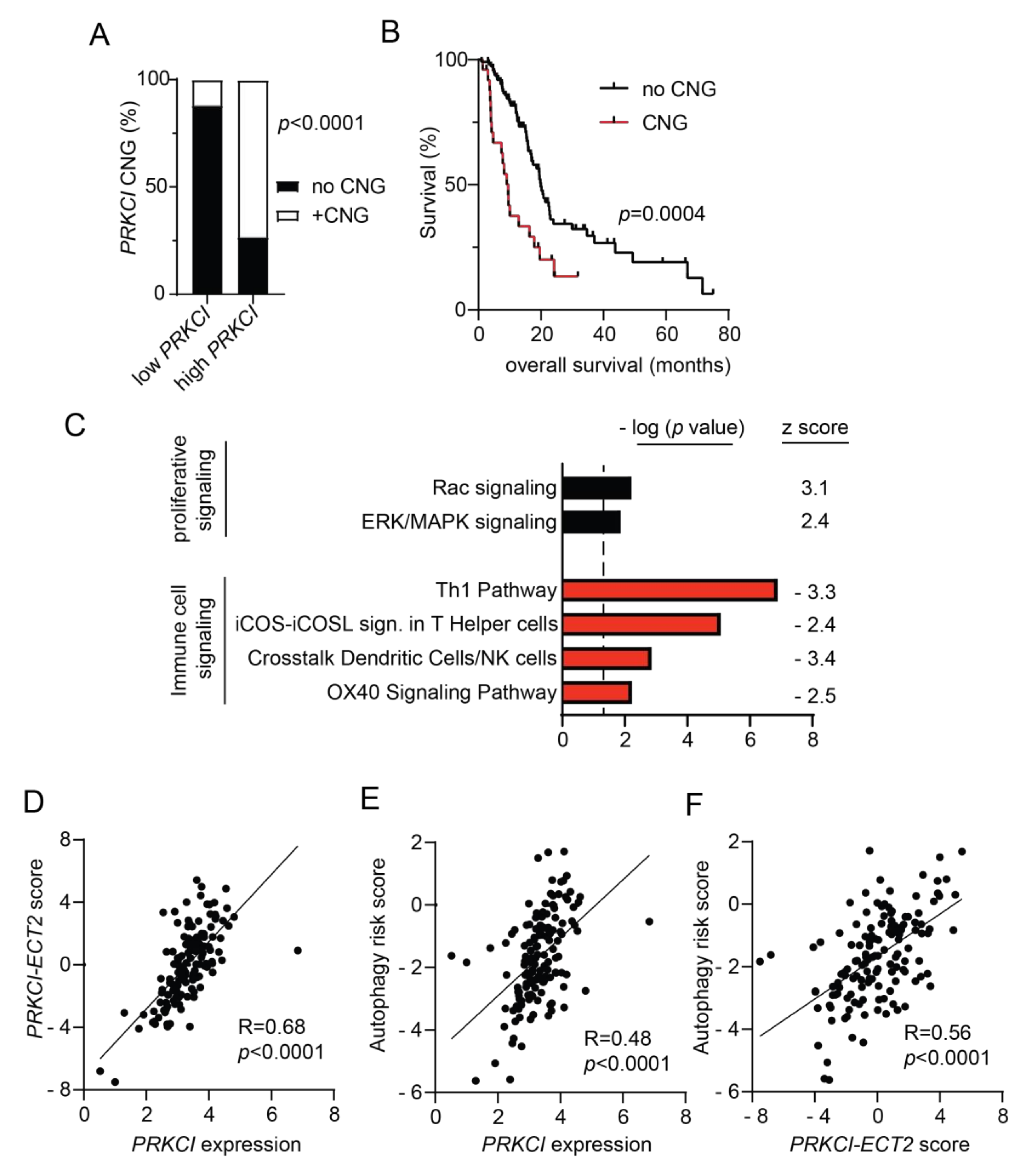 Cancers 14 00796 g007
