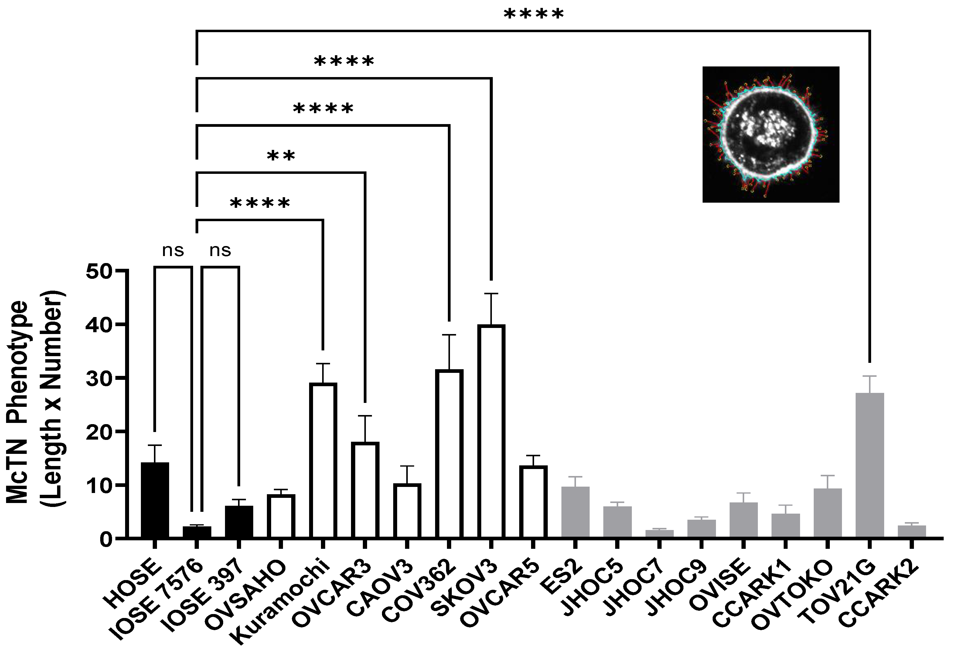 Cancers 14 00800 g002