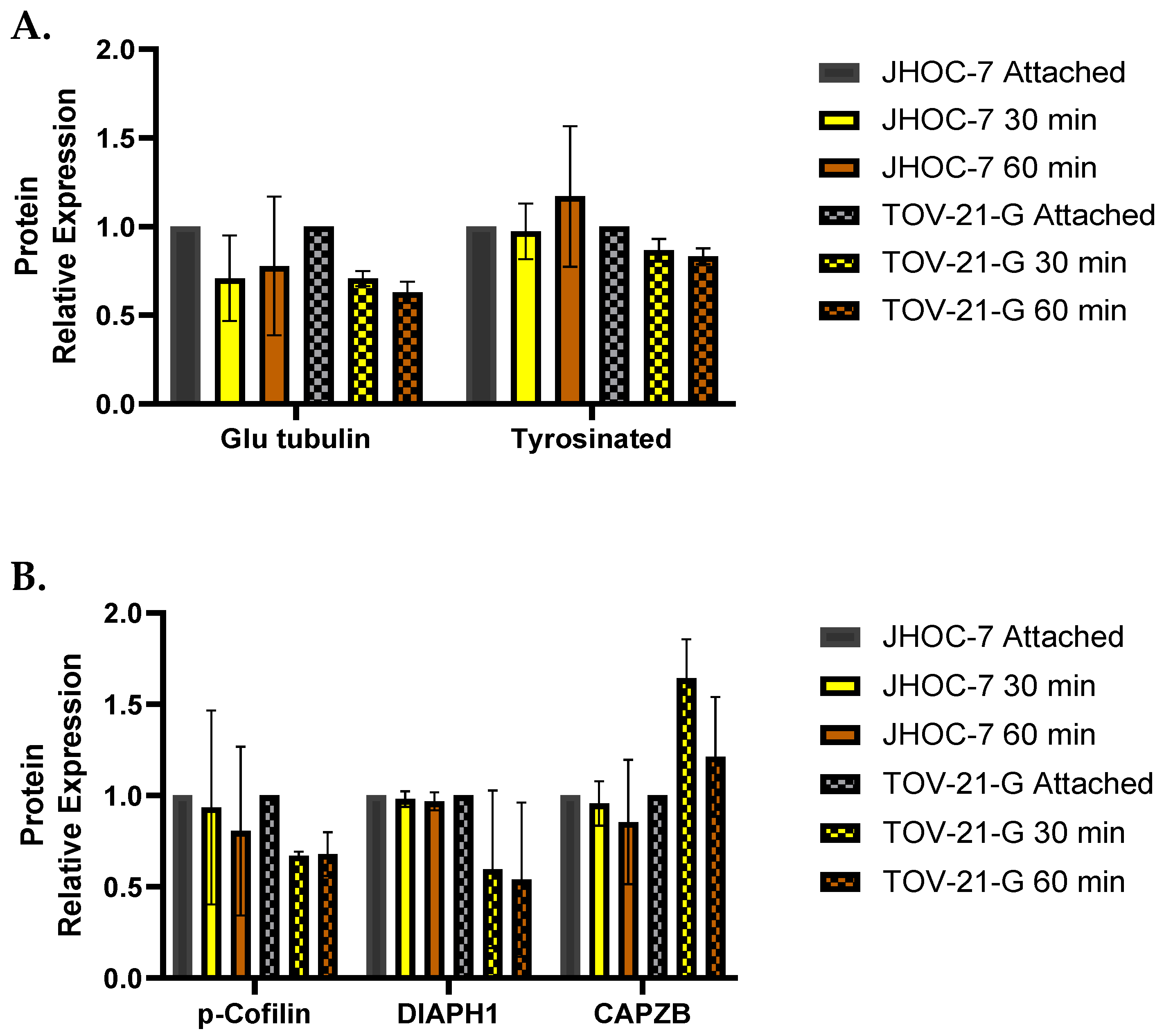 Cancers 14 00800 g006