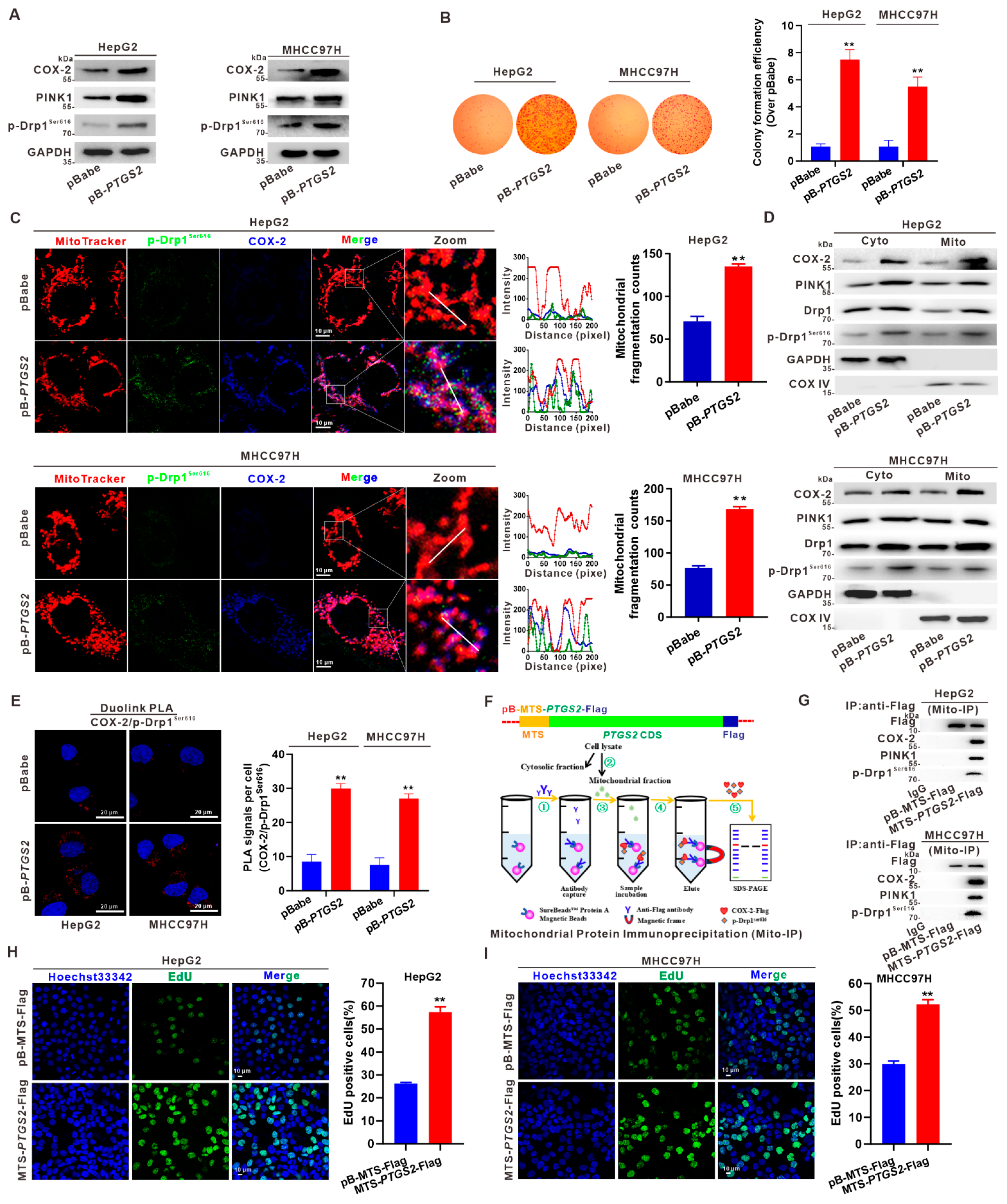 Cancers 14 00821 g003