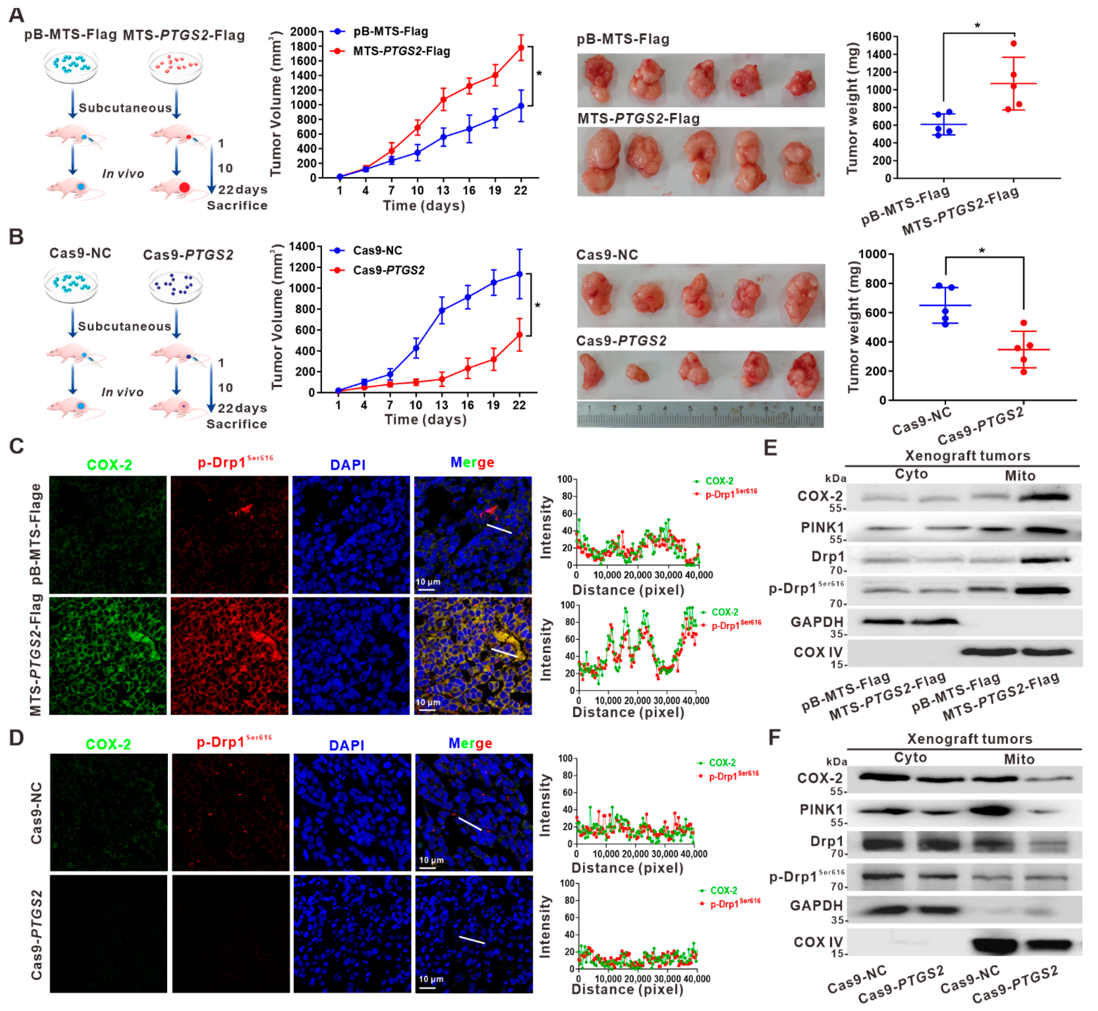 Cancers 14 00821 g005