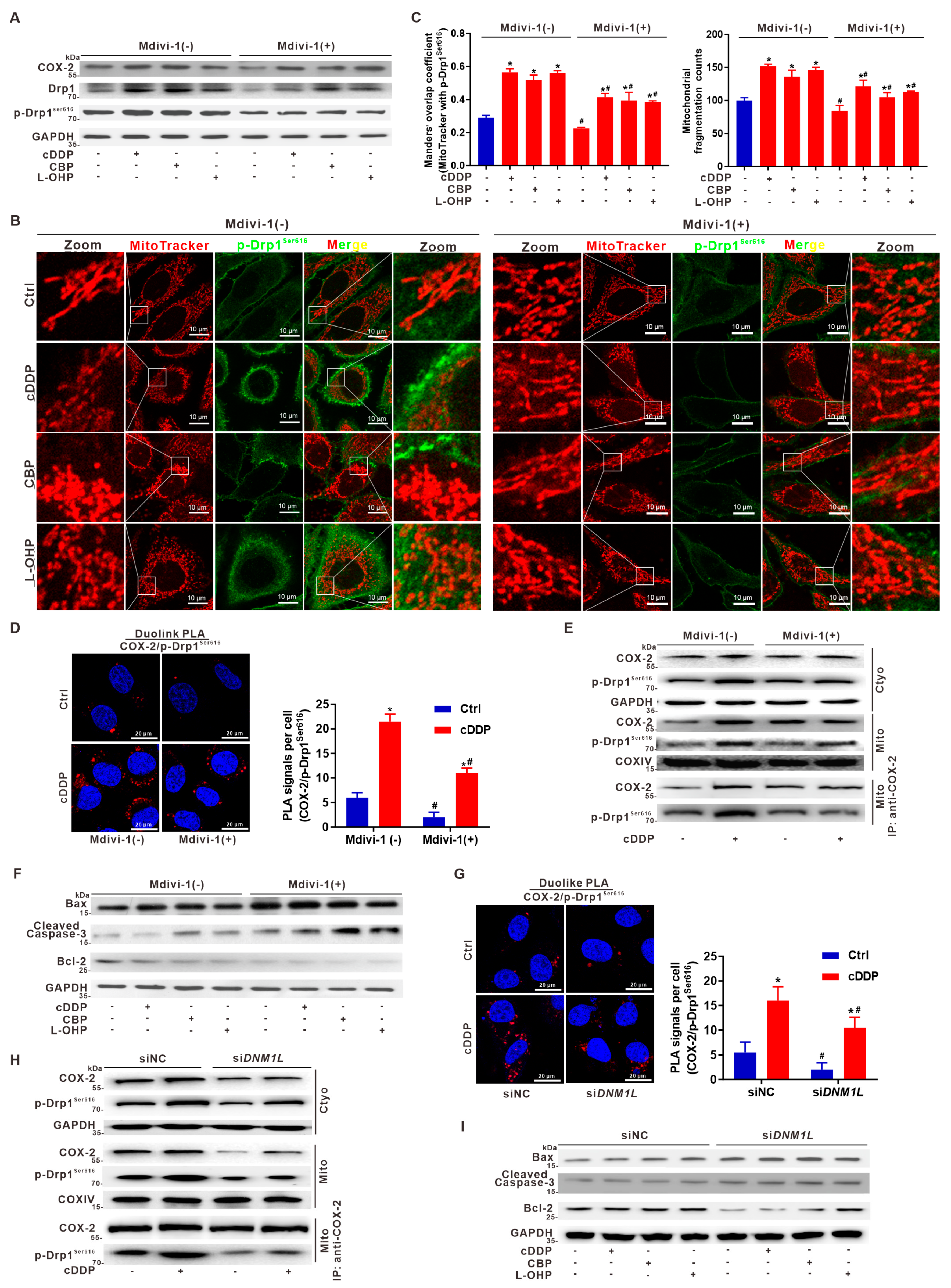 Cancers 14 00821 g007