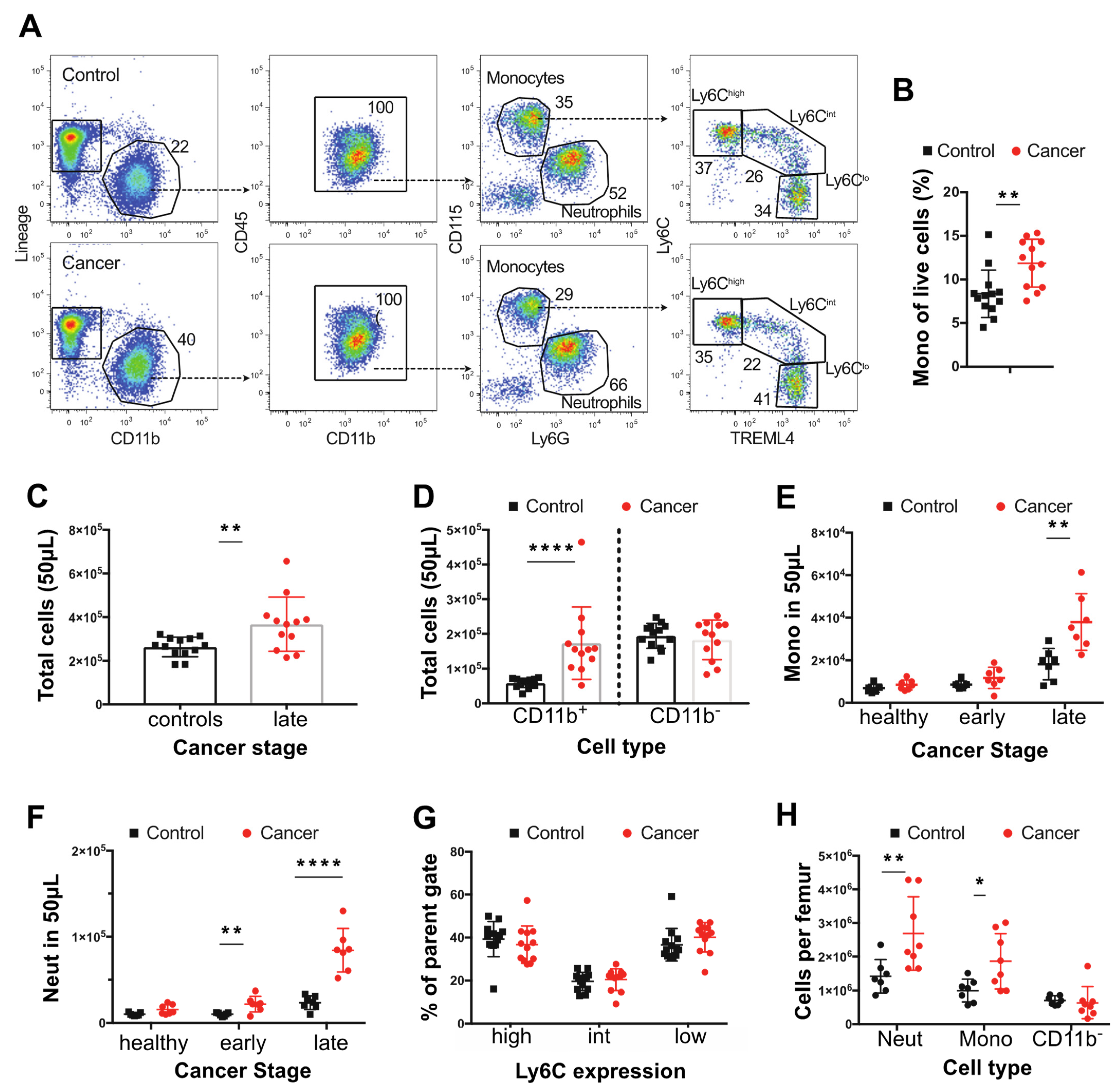 Cancers 14 00833 g001