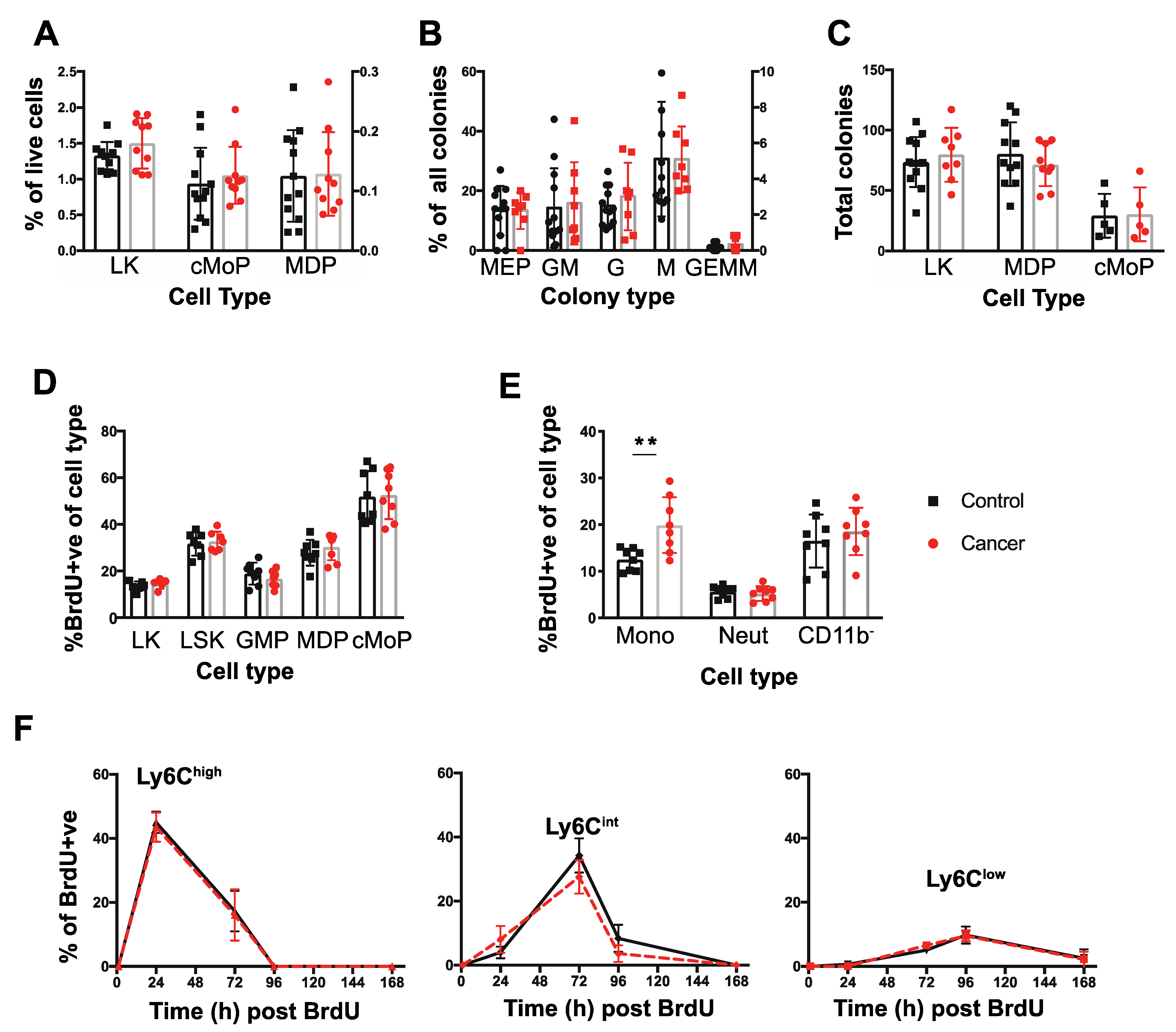 Cancers 14 00833 g002