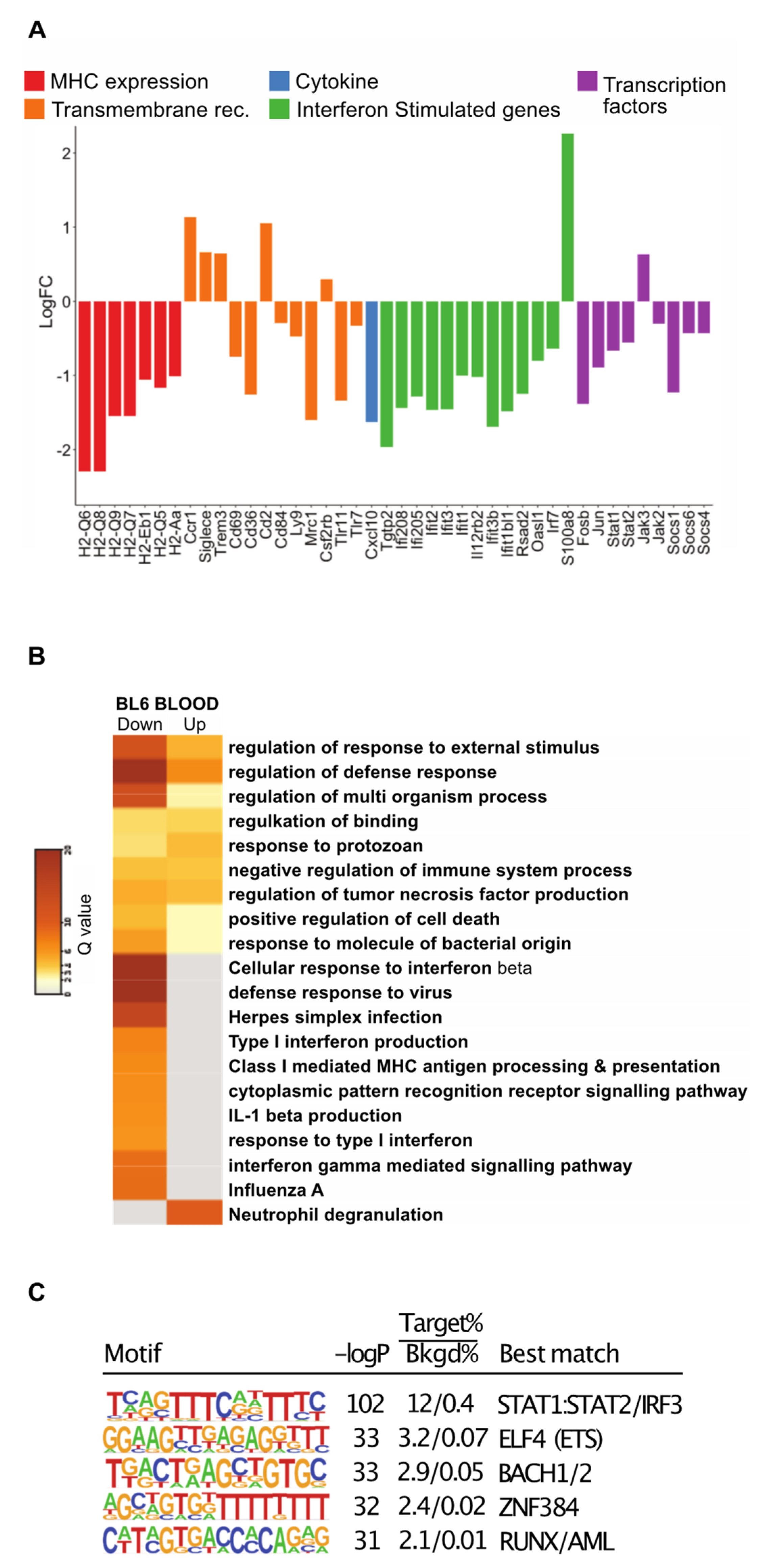 Cancers 14 00833 g005