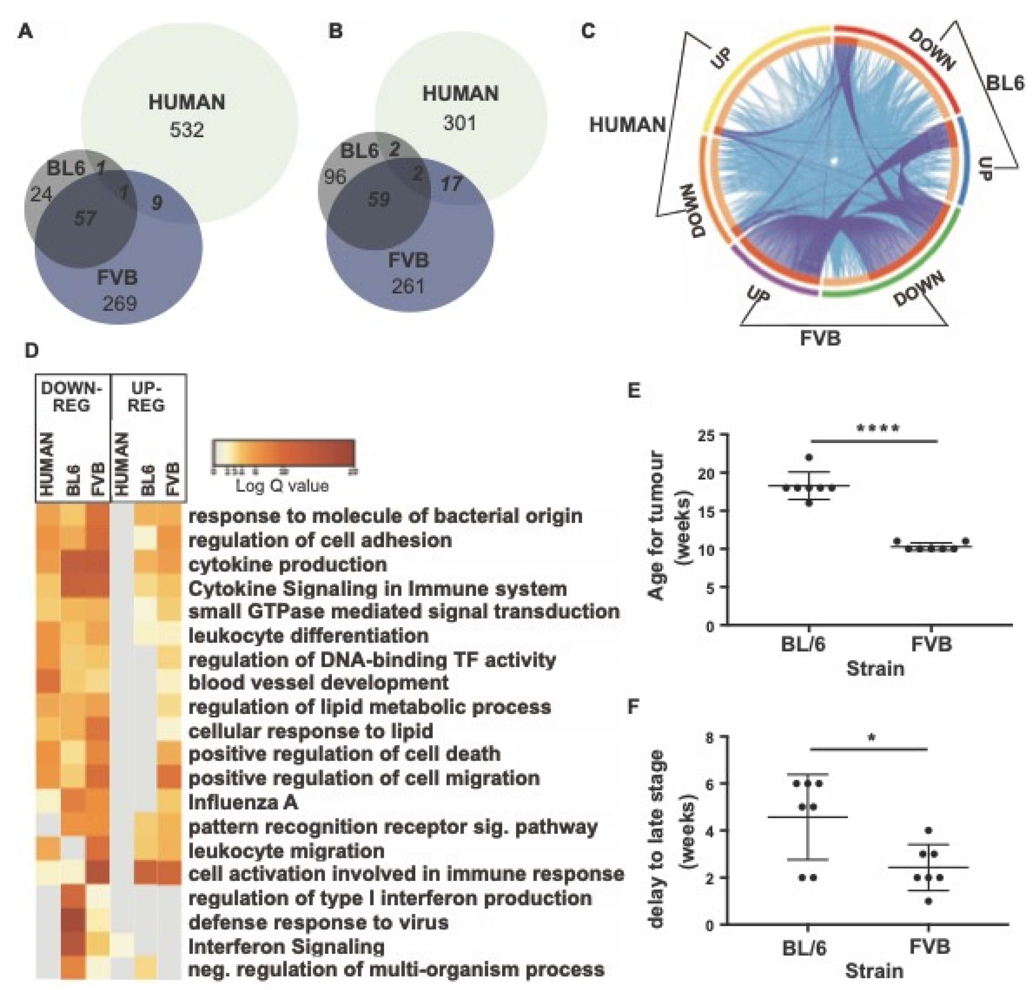 Cancers 14 00833 g007