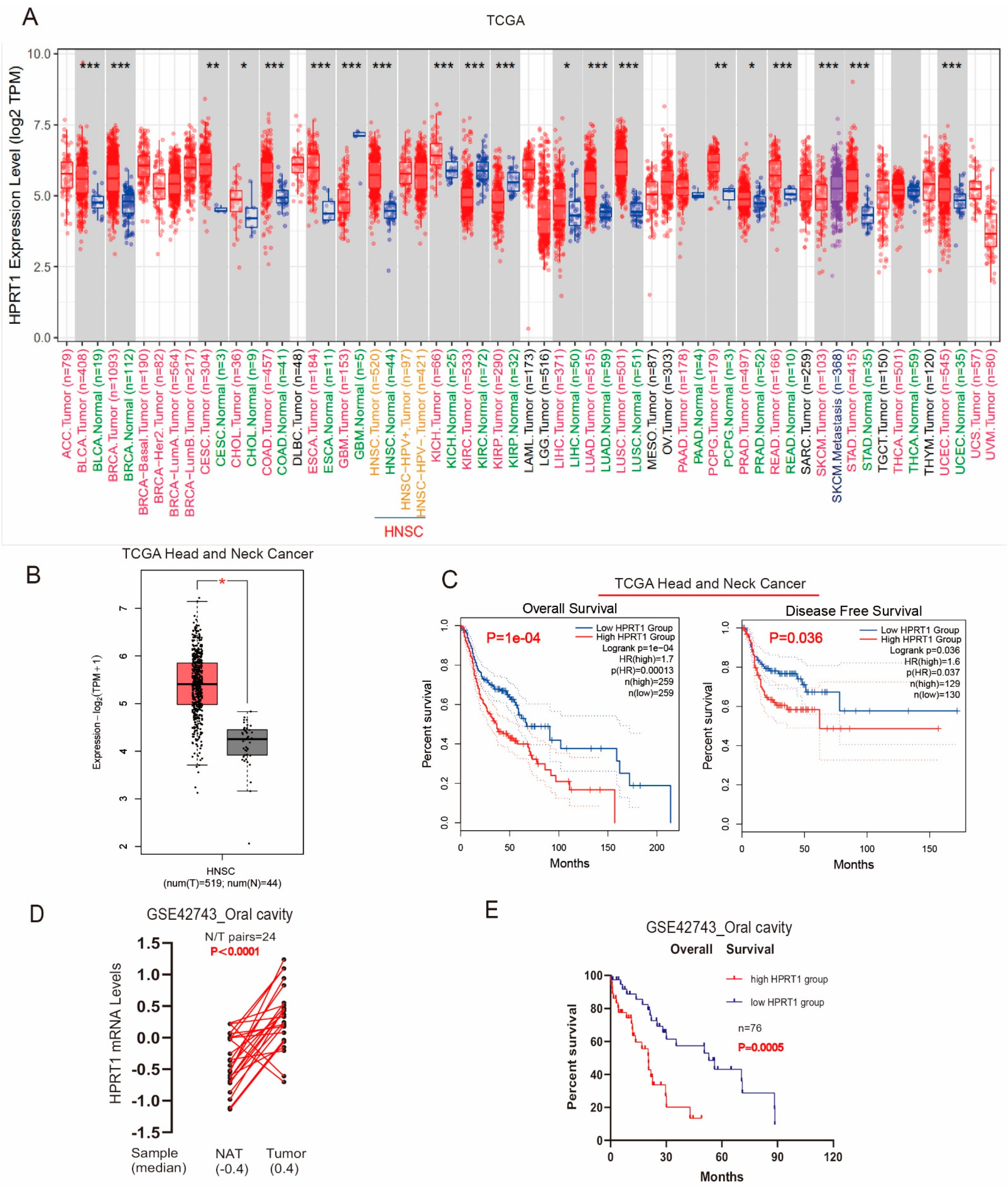 Cancers | Free Full-Text | HPRT1 Promotes Chemoresistance in Oral Squamous  Cell Carcinoma via Activating MMP1/PI3K/Akt Signaling Pathway