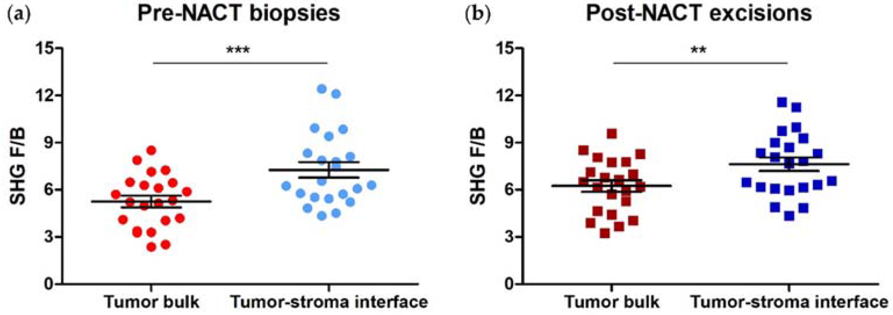 Cancers 14 00857 g002 Cancers 14 00857 g002