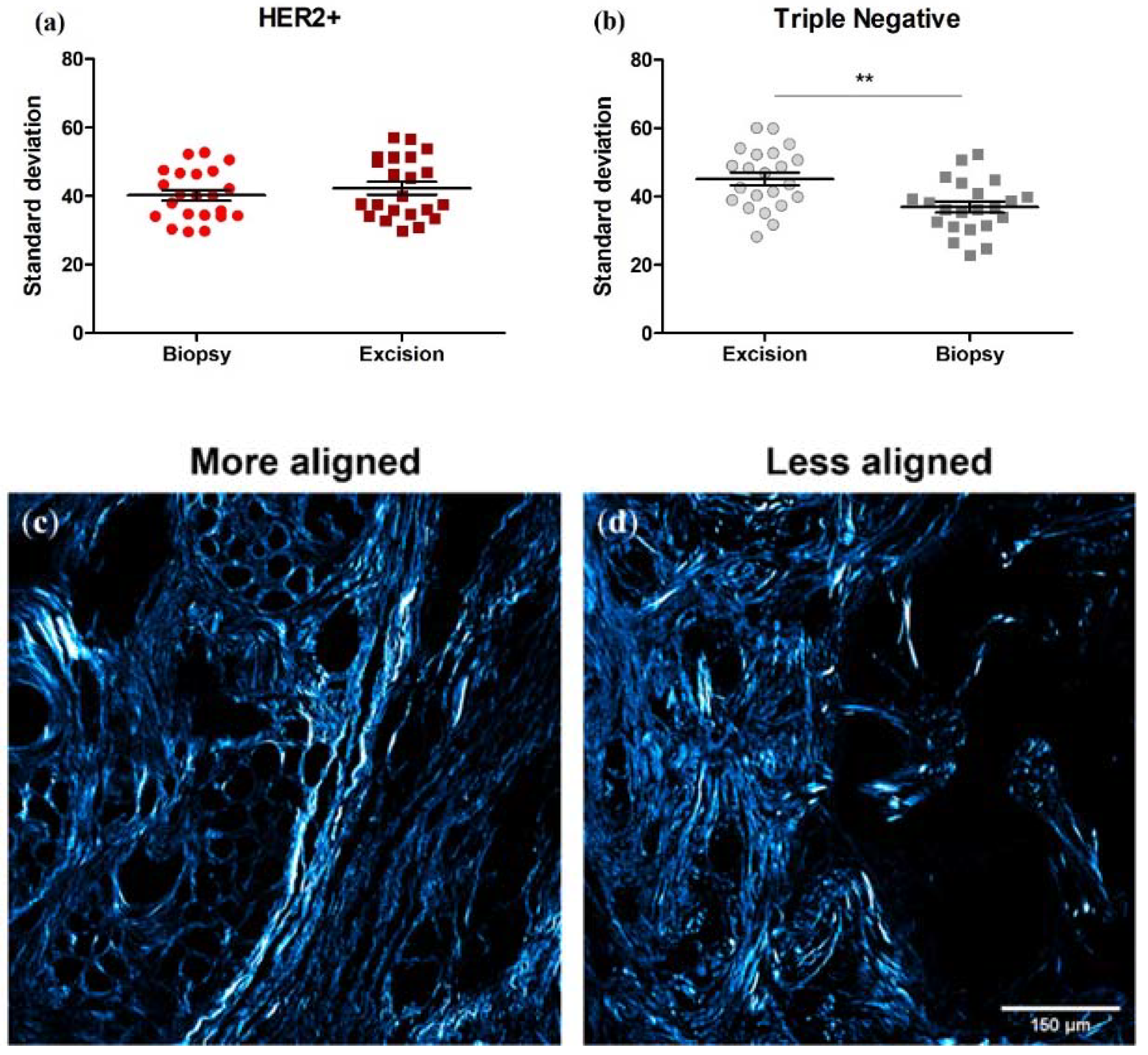 Cancers 14 00857 g008 Cancers 14 00857 g008