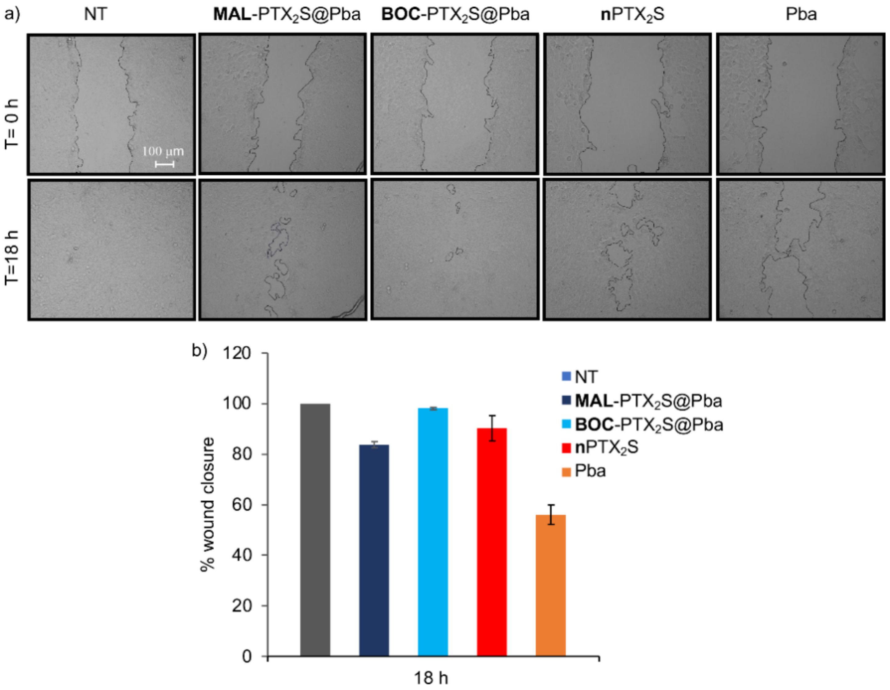 Cancers 14 00877 g007