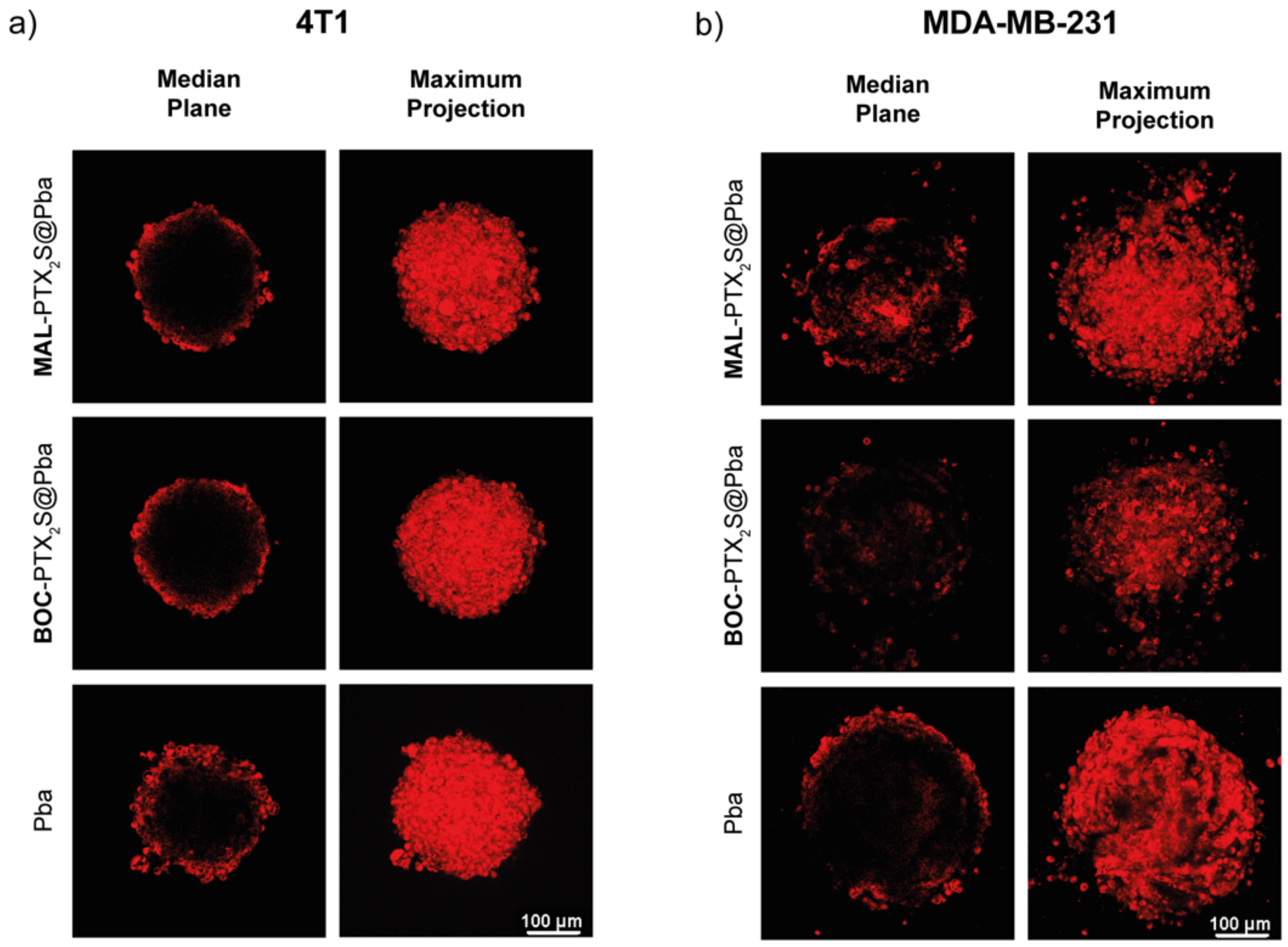 Cancers 14 00877 g008