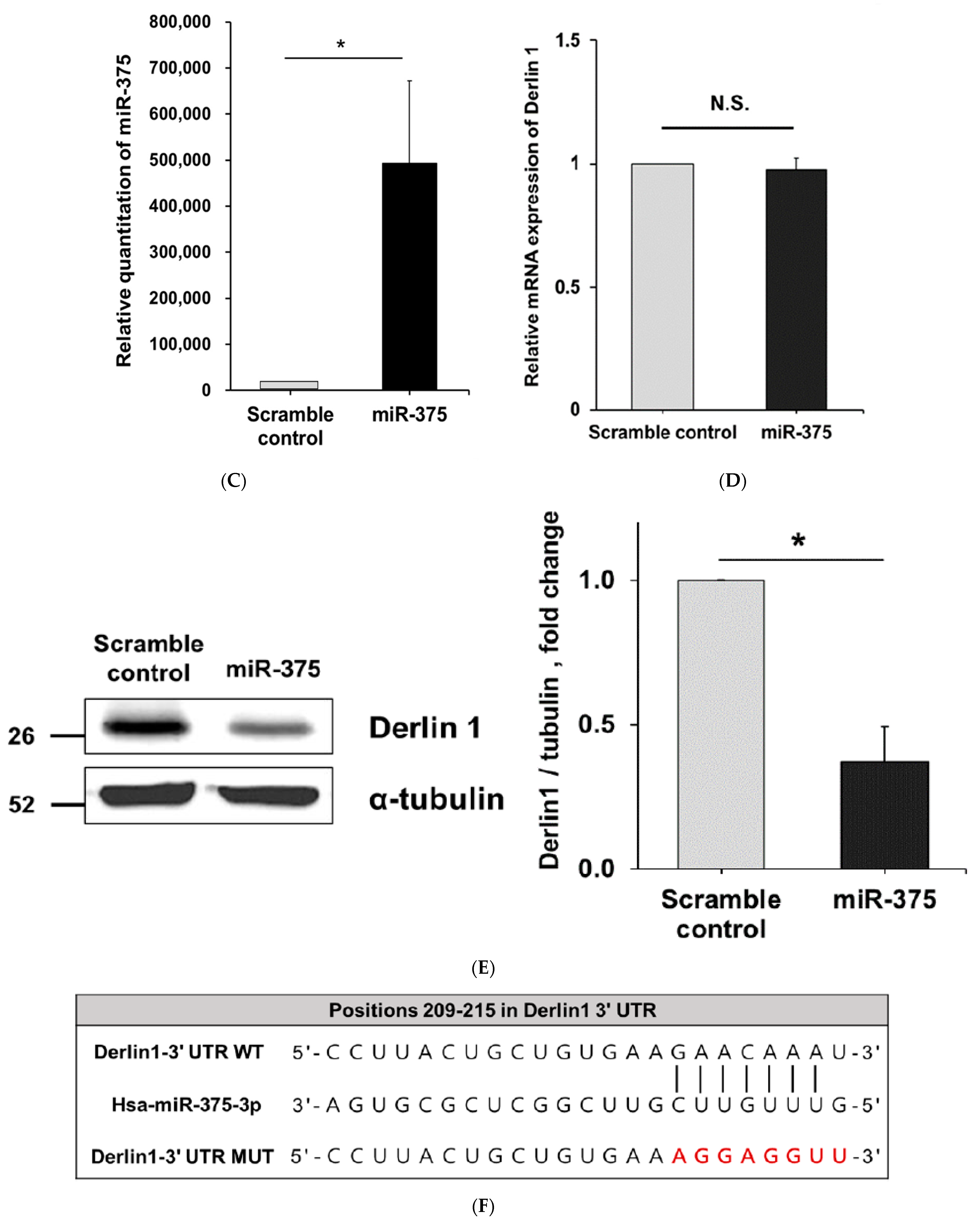 Cancers 14 00880 g003b