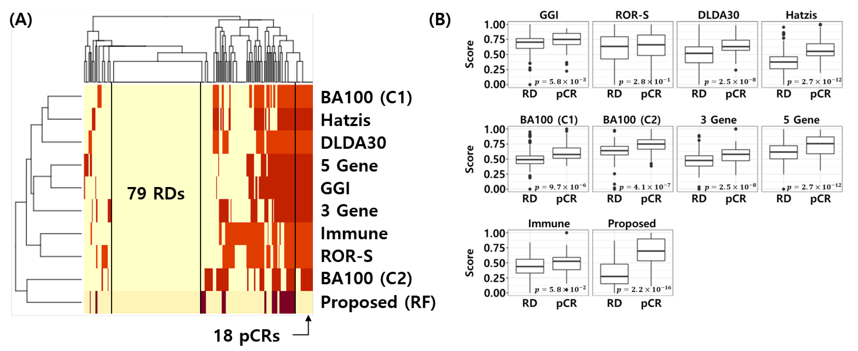 Cancers 14 00881 g008