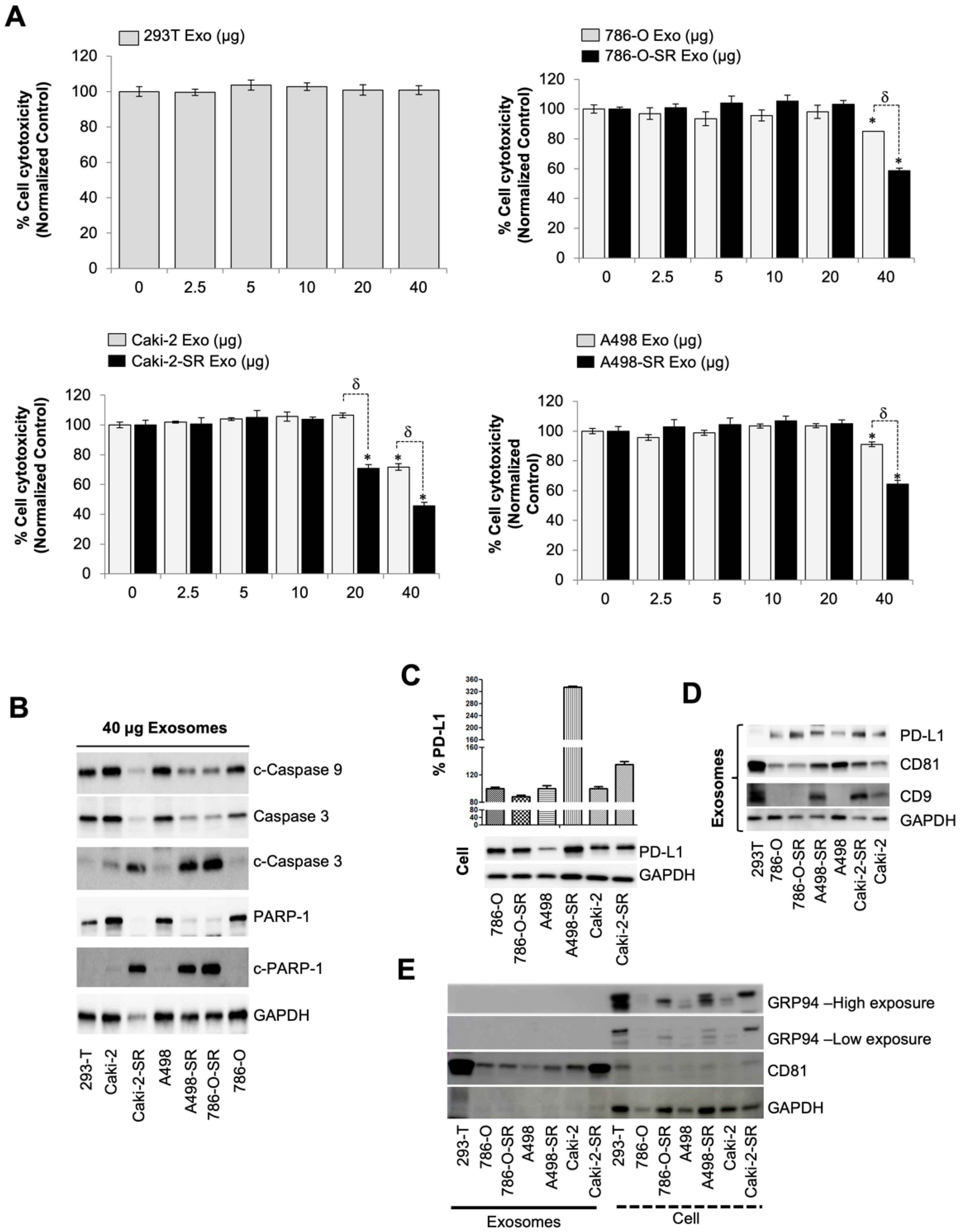 Cancers 14 00903 g001