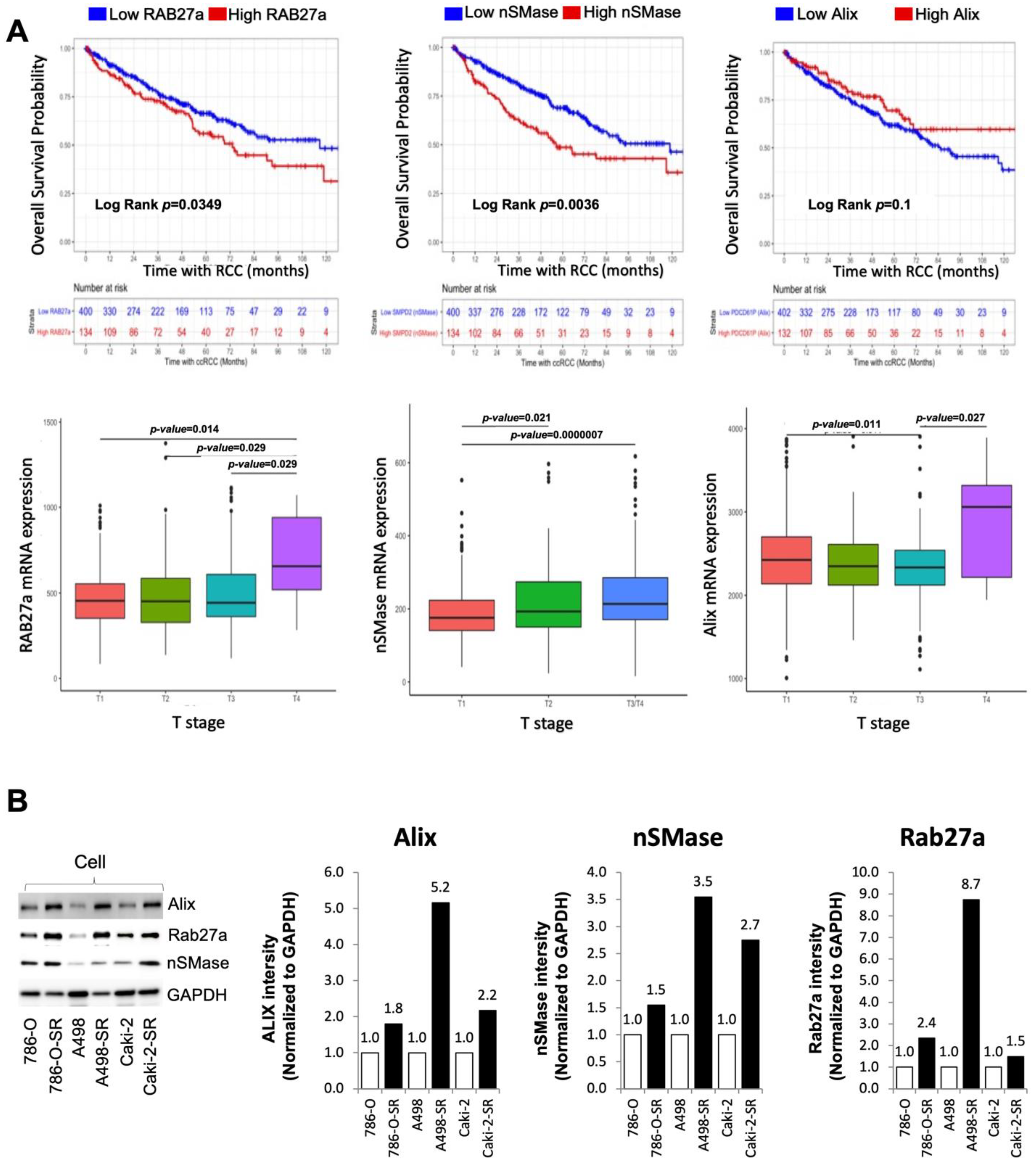 Cancers 14 00903 g003