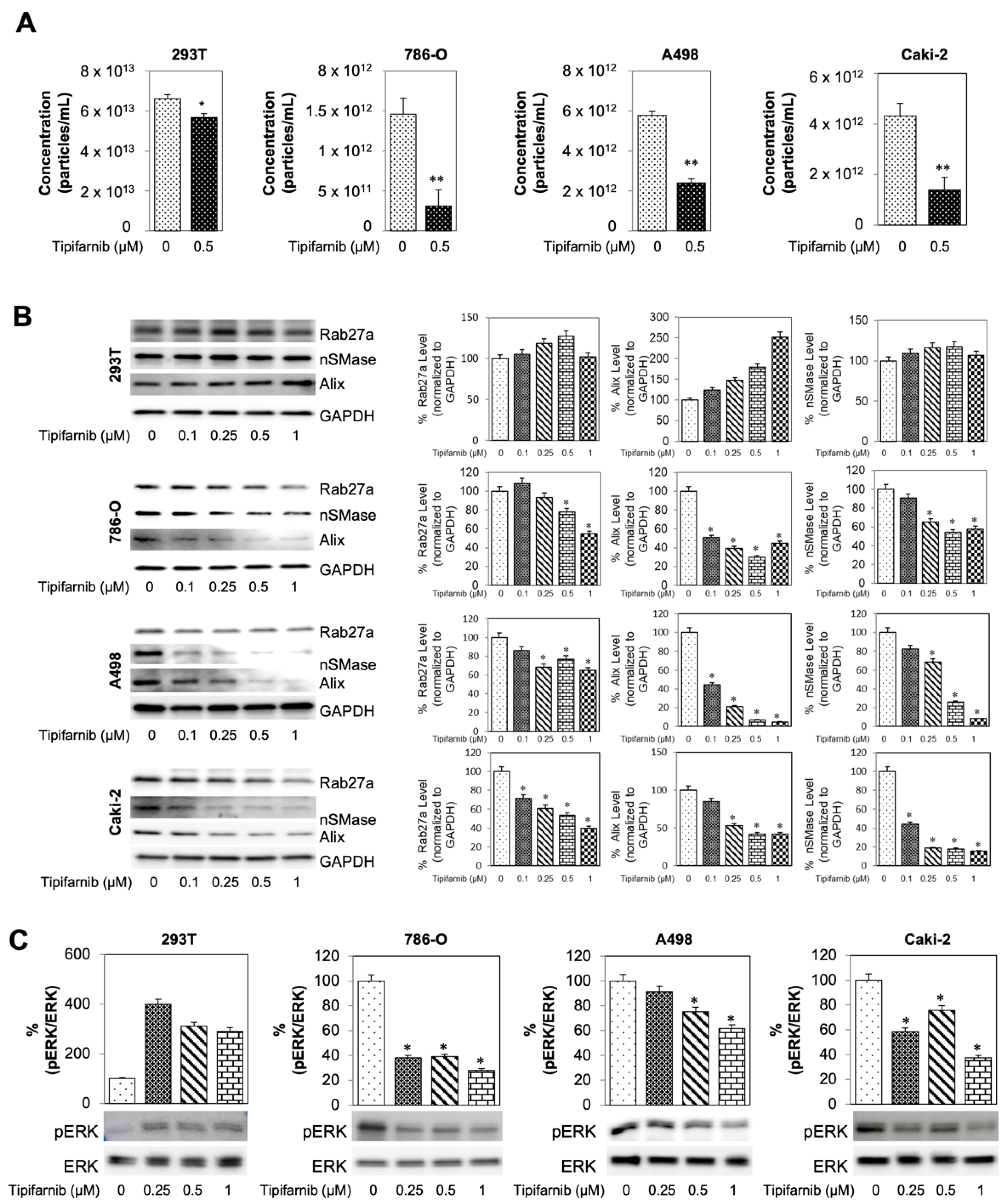 Cancers 14 00903 g004
