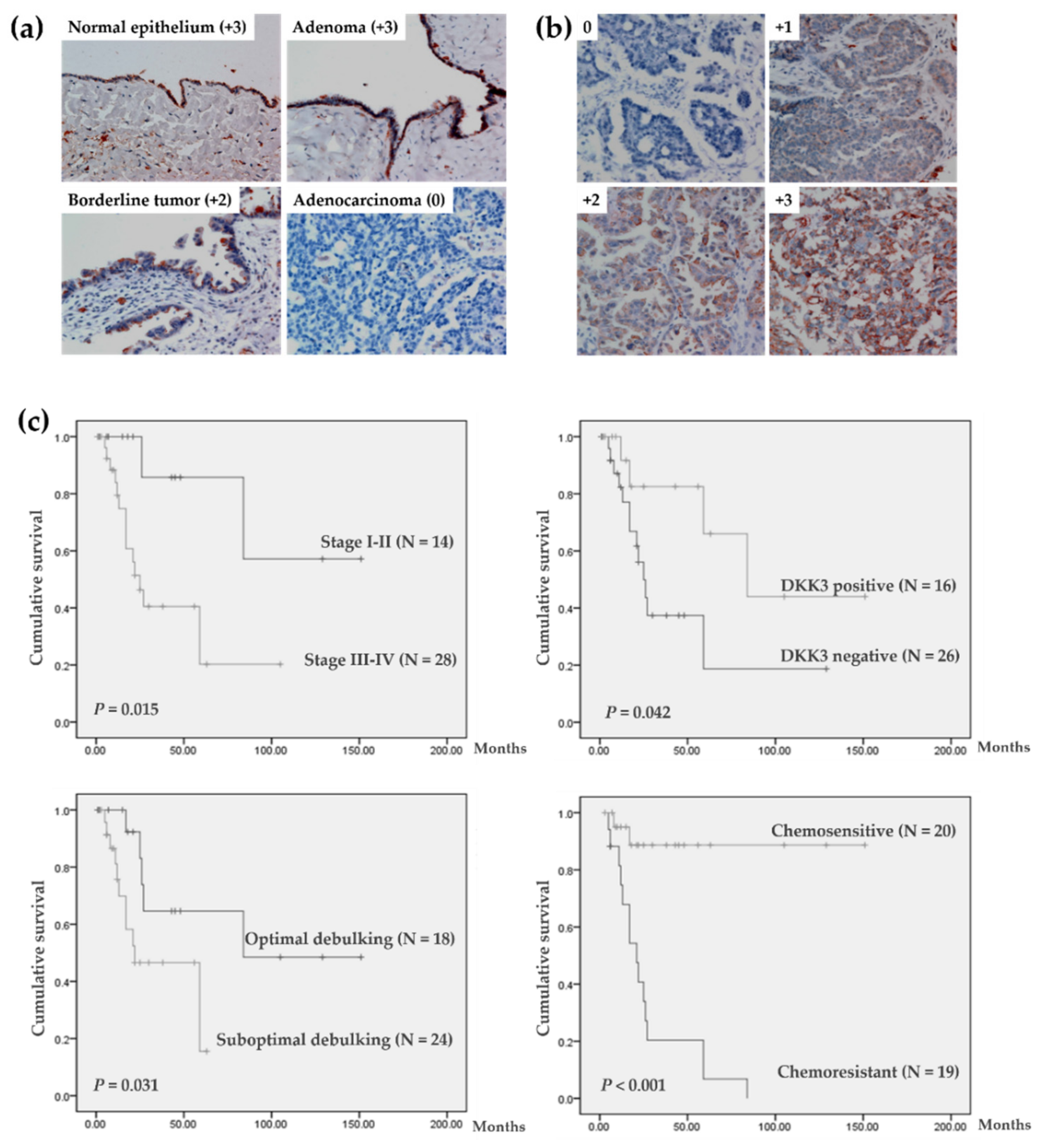 Cancers 14 00924 g001
