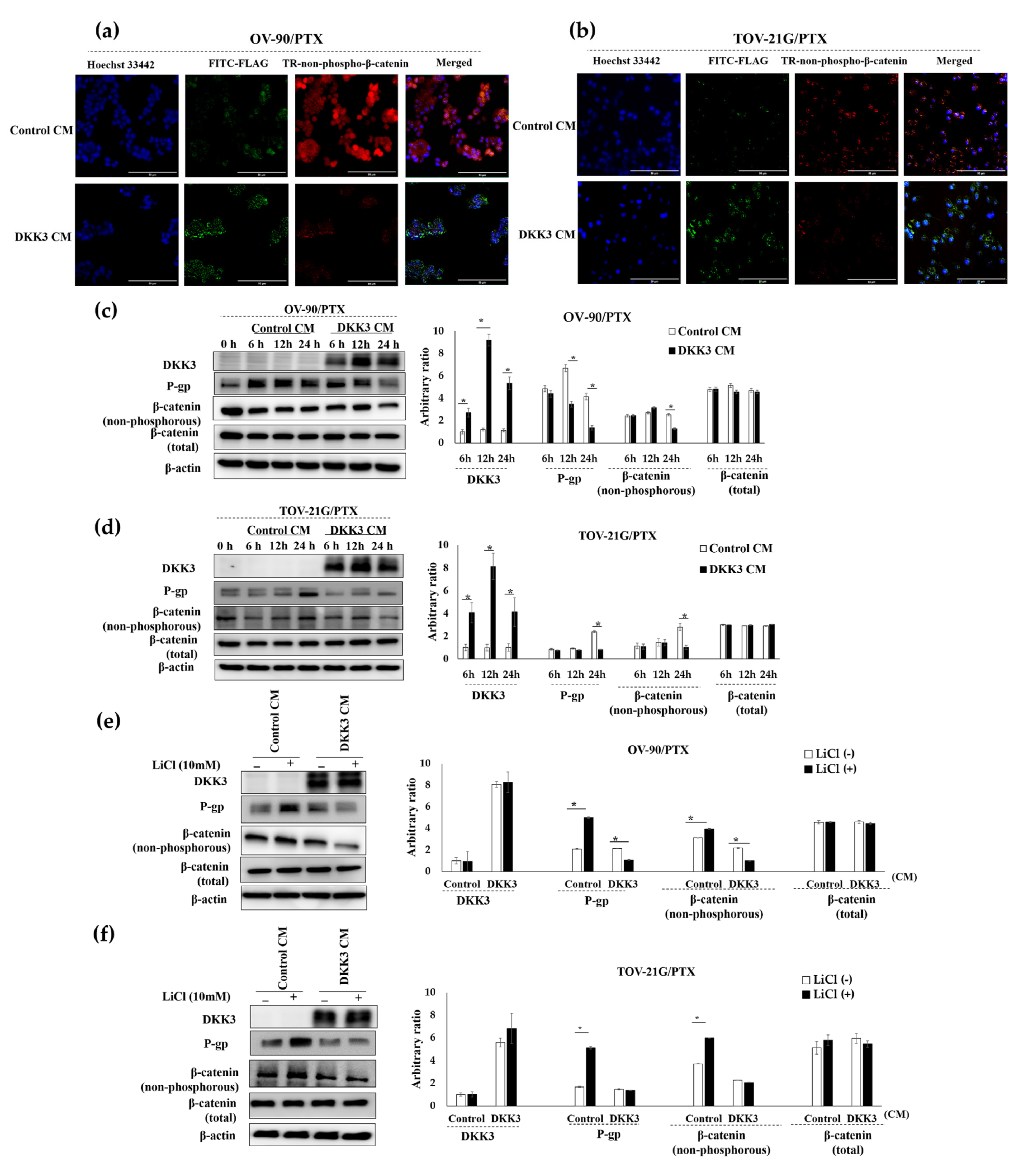 Cancers 14 00924 g004