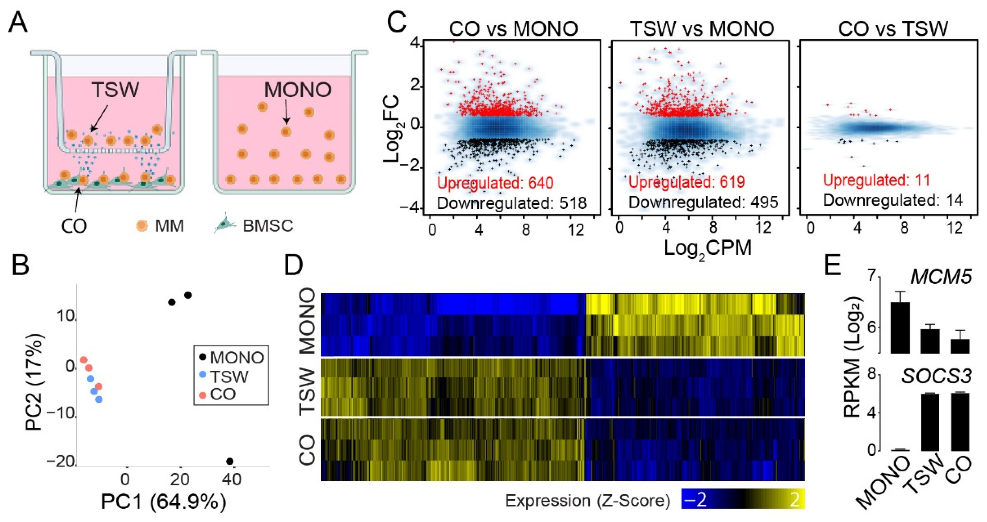 Cancers 14 00927 g001 Cancers 14 00927 g001