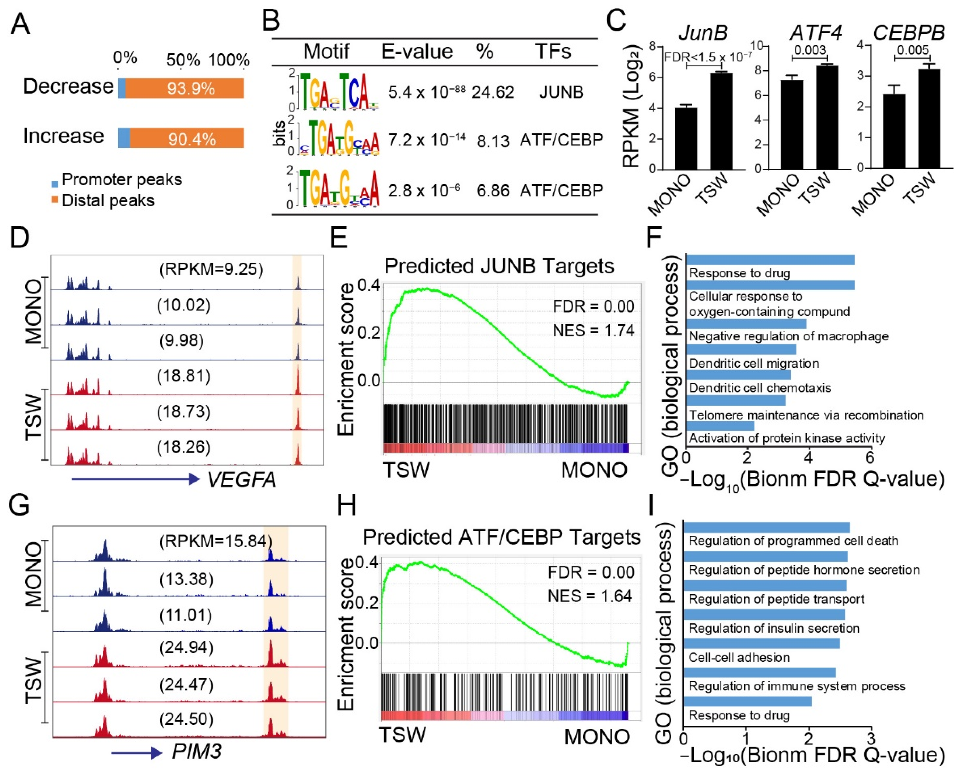 Cancers 14 00927 g006 Cancers 14 00927 g006