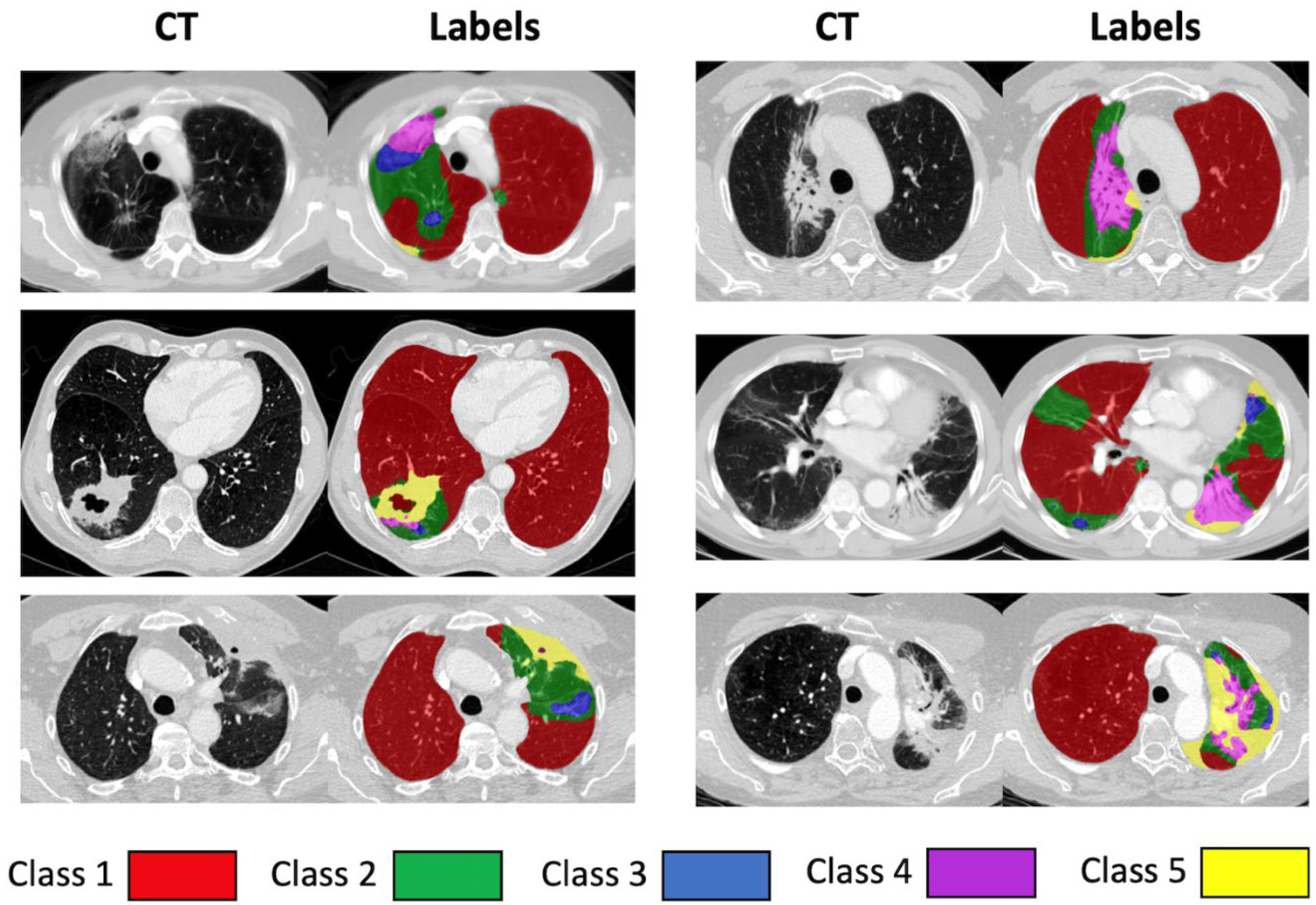 Cancers 14 00946 g001