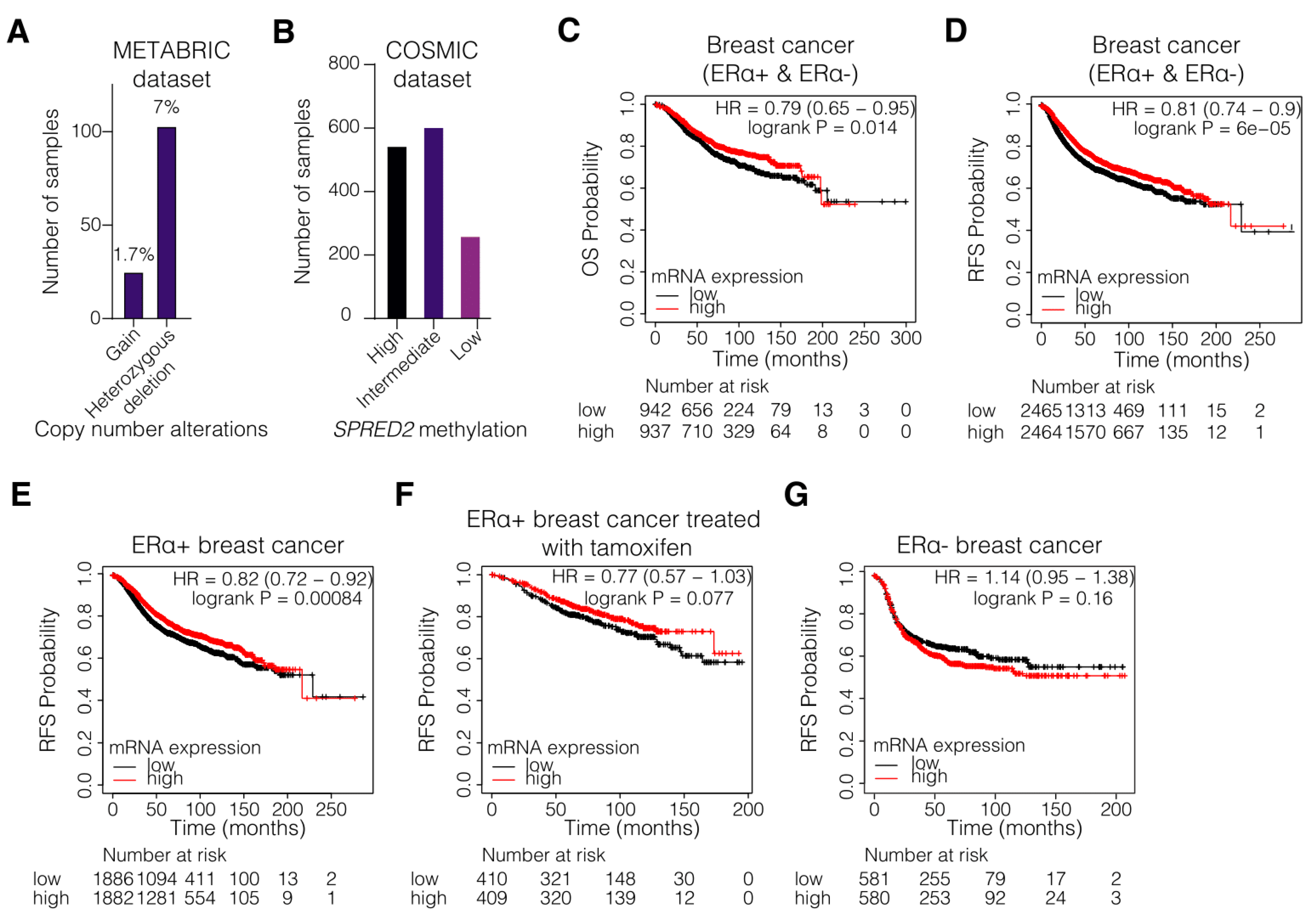 Cancers 14 00954 g001 Cancers 14 00954 g001