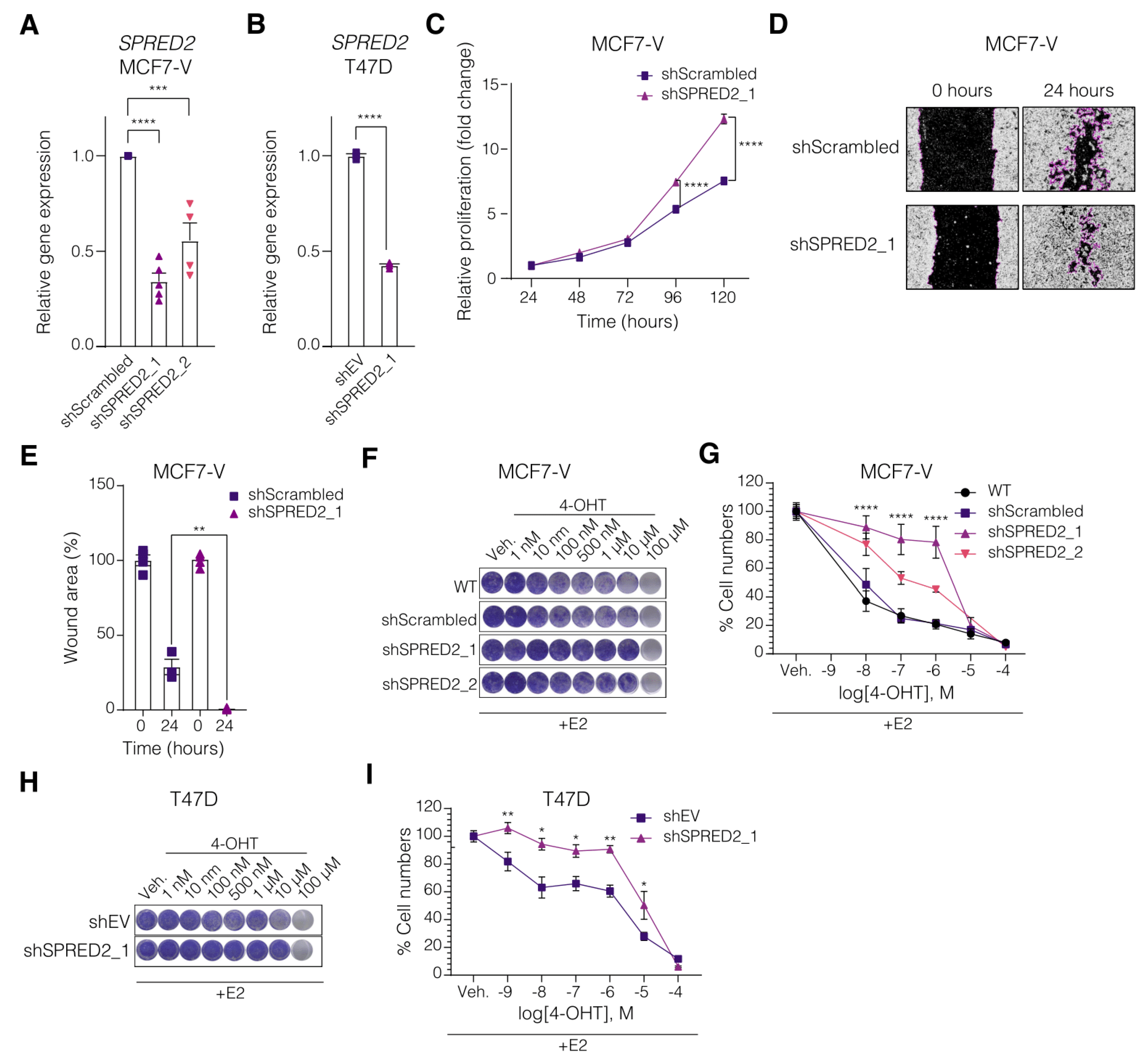 Cancers 14 00954 g002 Cancers 14 00954 g002