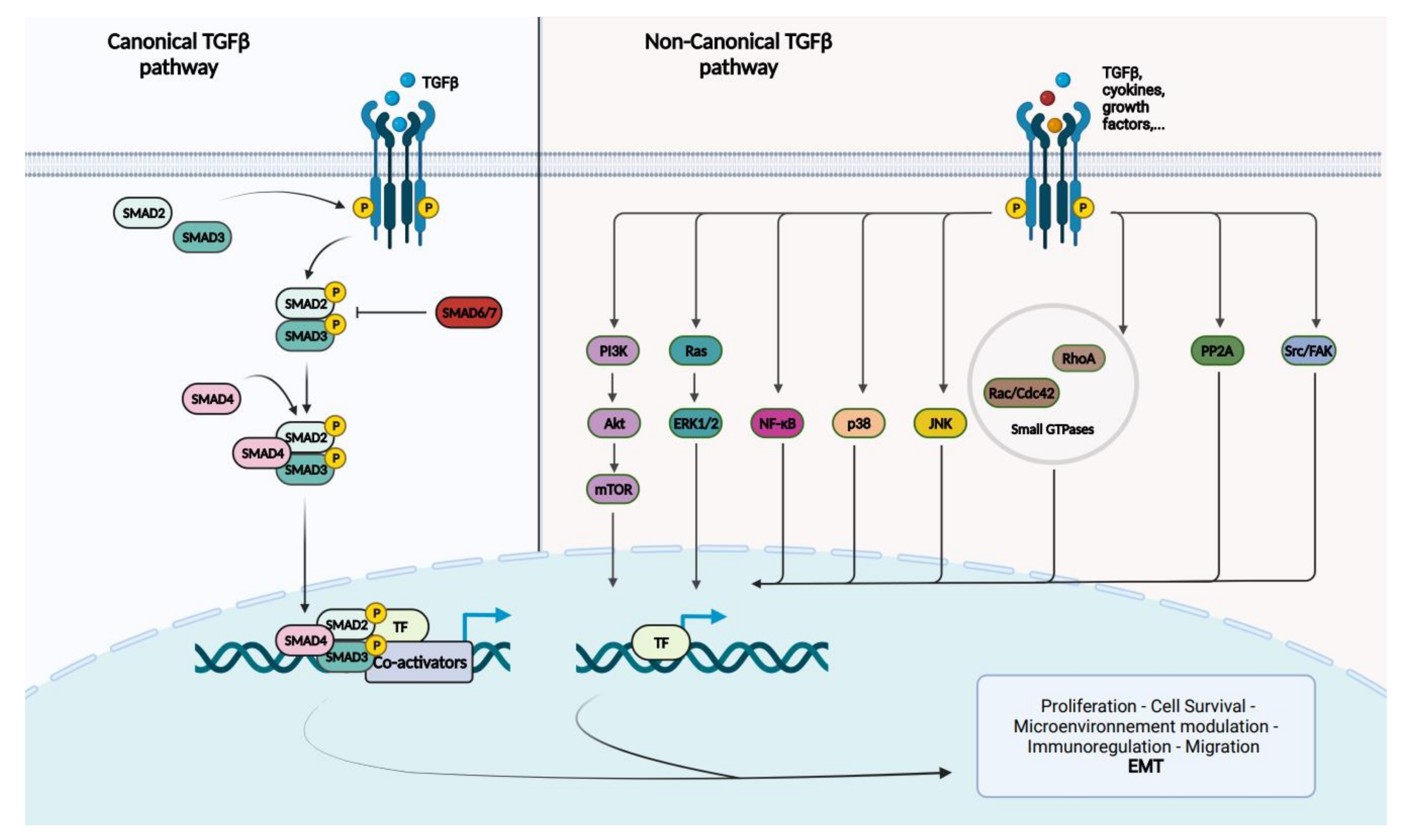Cancers 14 00973 g001 Cancers 14 00973 g001