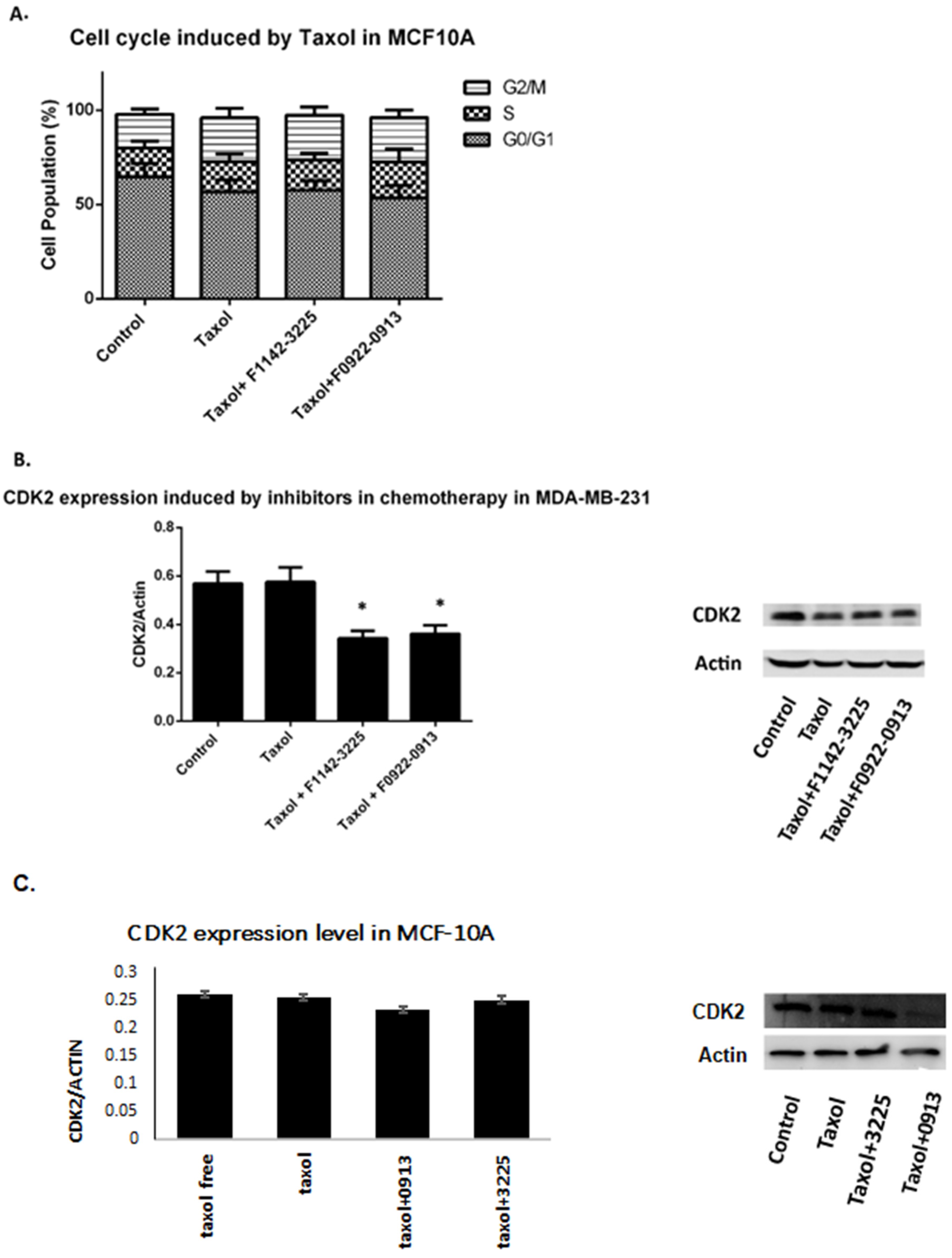 Cancers 14 00989 g007 Cancers 14 00989 g007