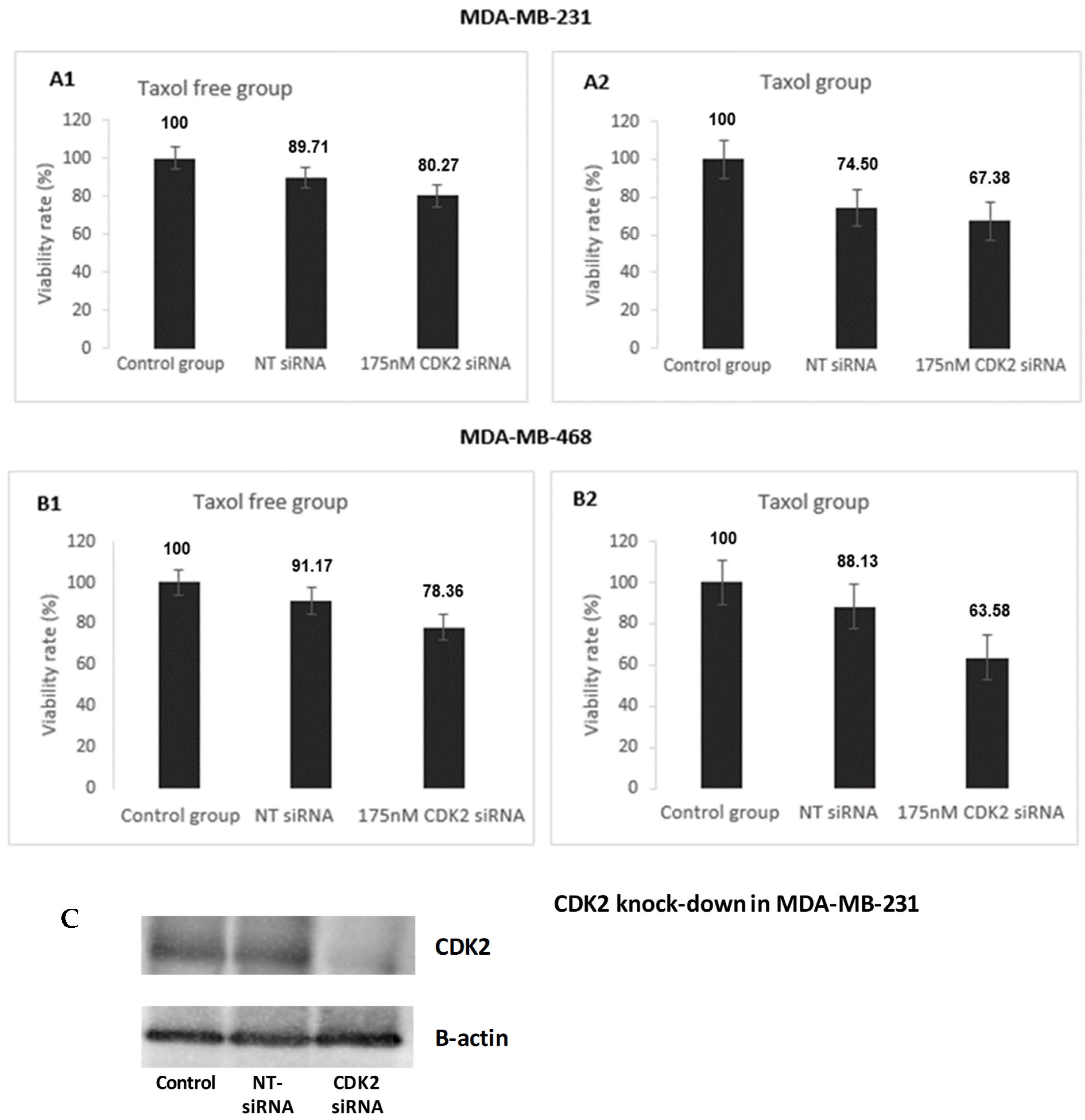 Cancers 14 00989 g008 Cancers 14 00989 g008