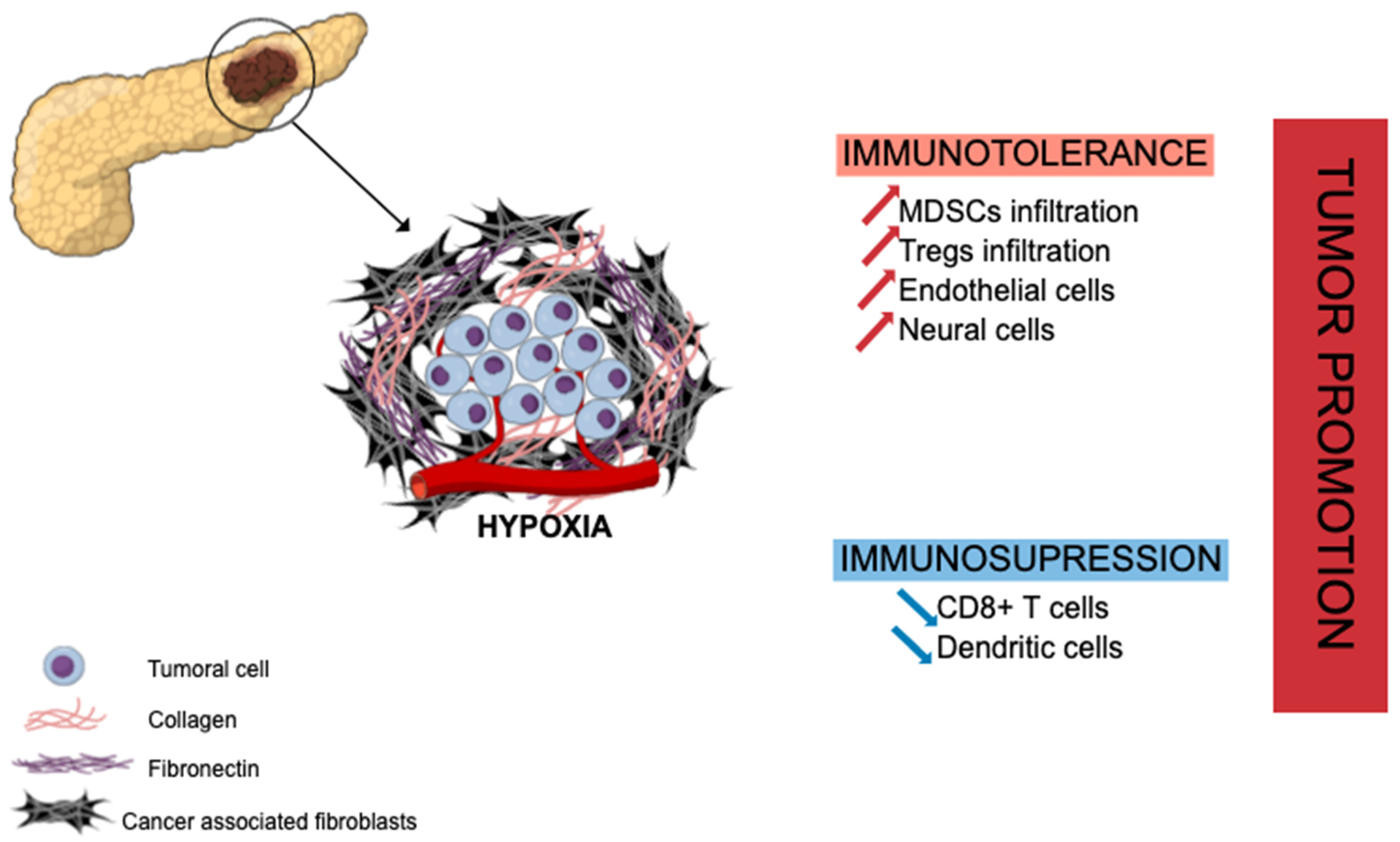 Cancers 14 00995 g001