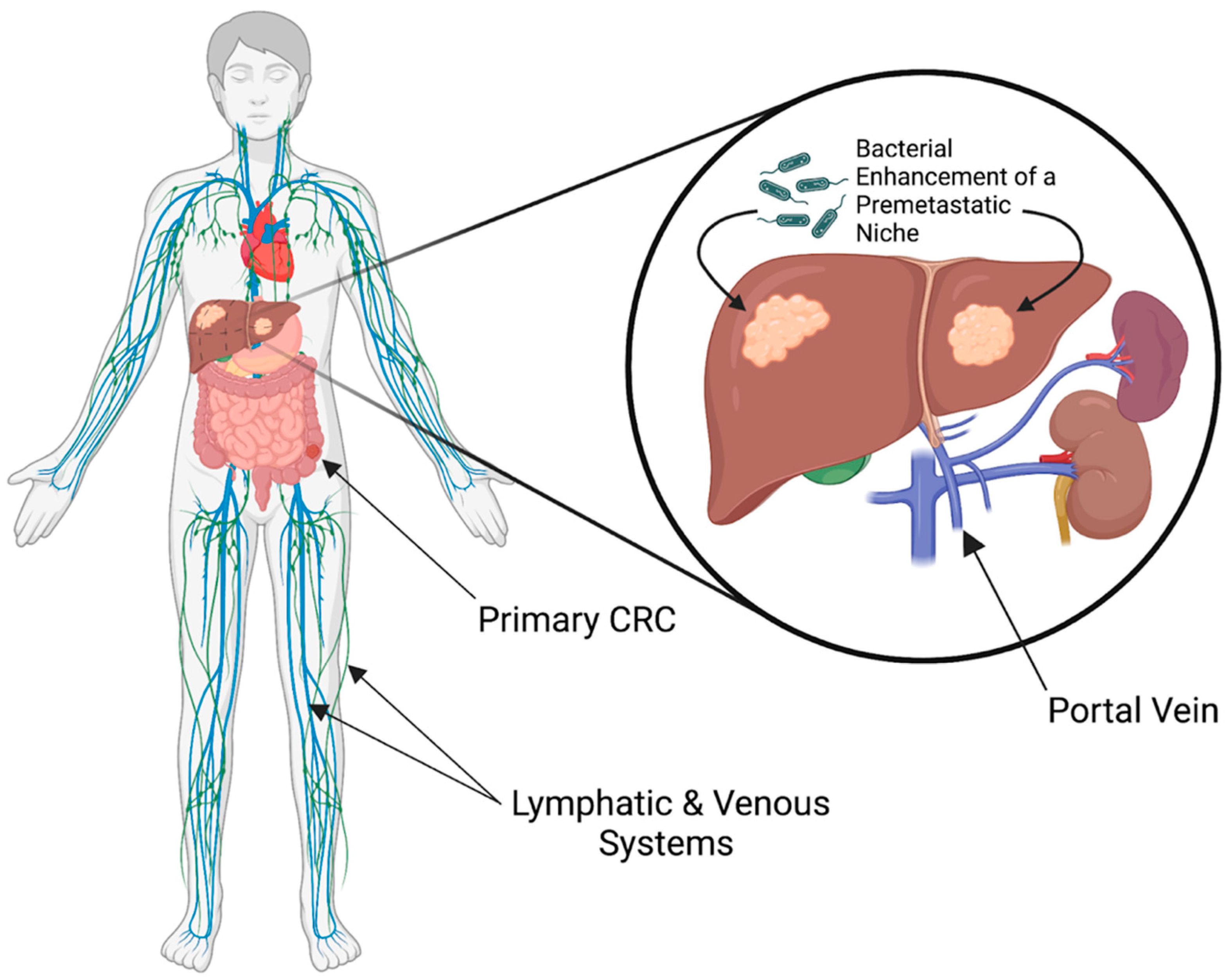 Cancers 14 01019 g004 Cancers 14 01019 g004