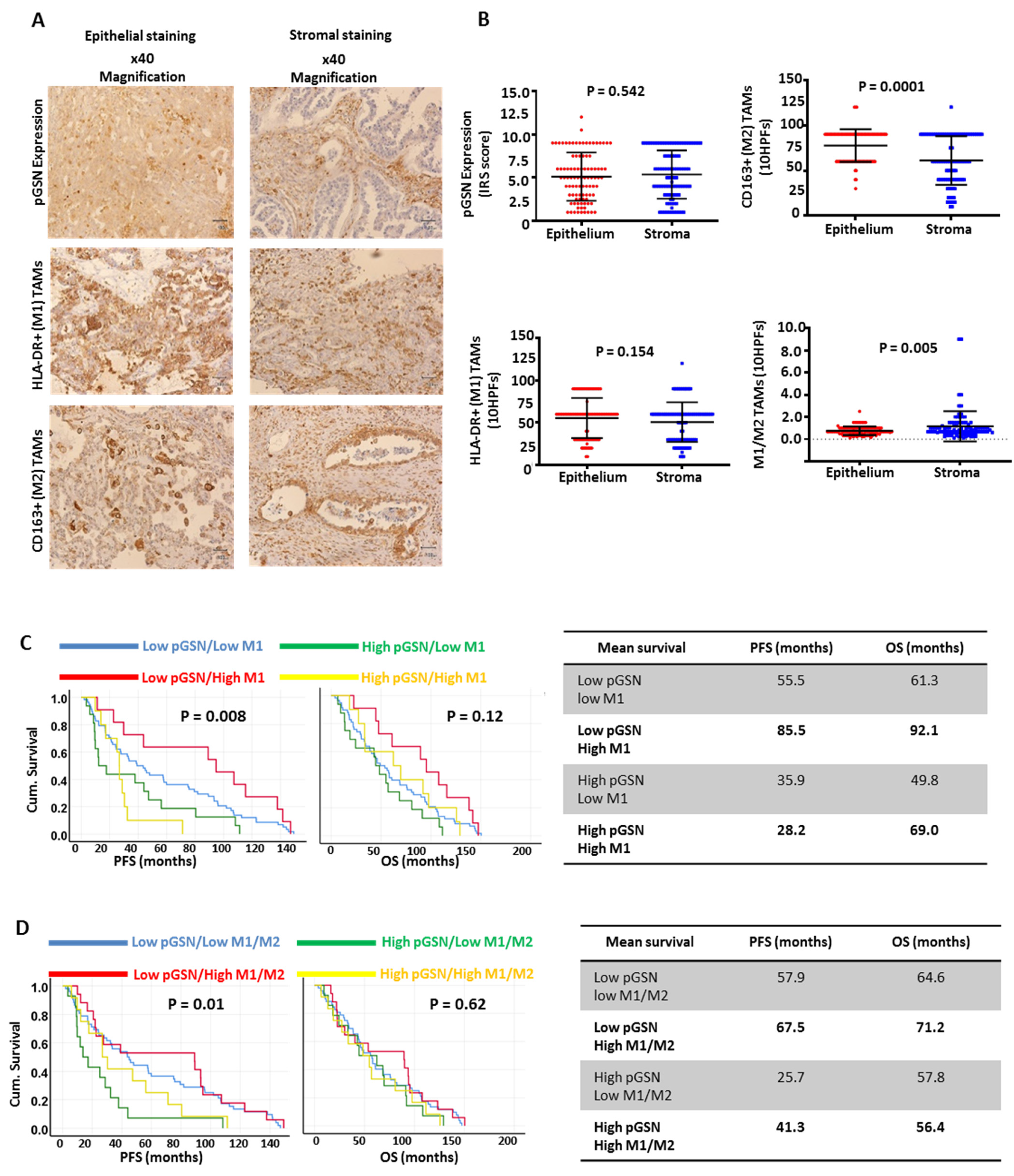 Cancers 14 01039 g001