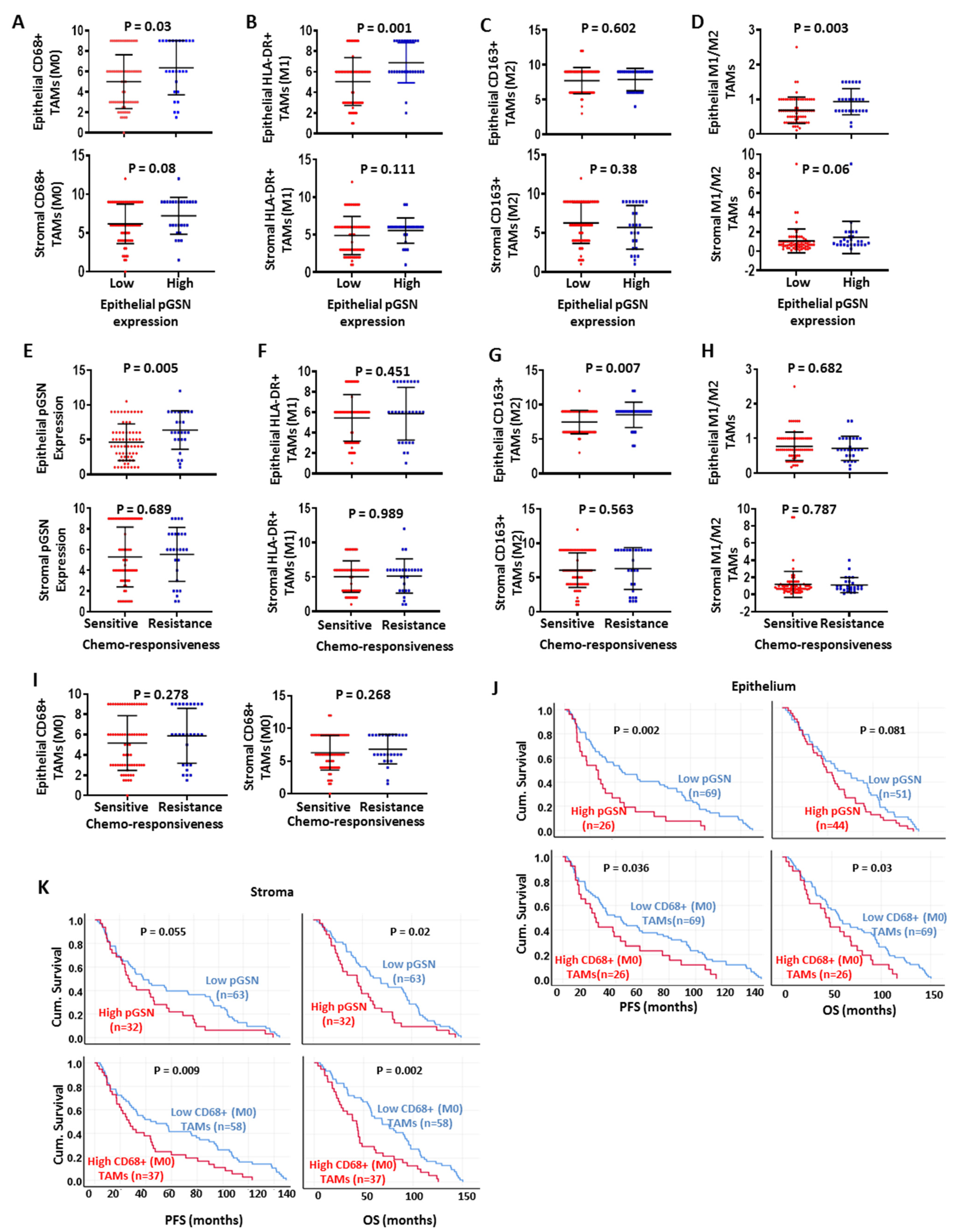 Cancers 14 01039 g002