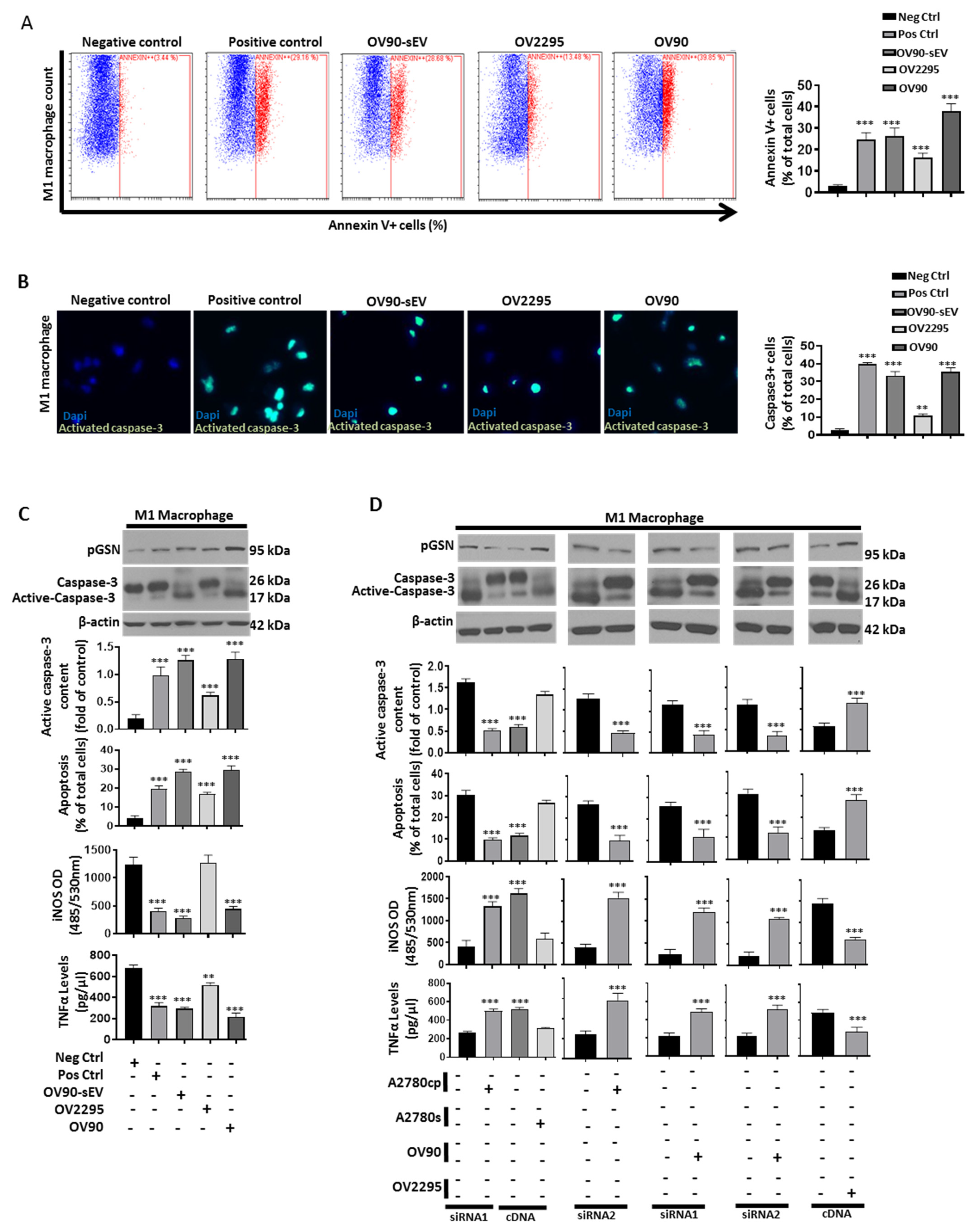 Cancers 14 01039 g003